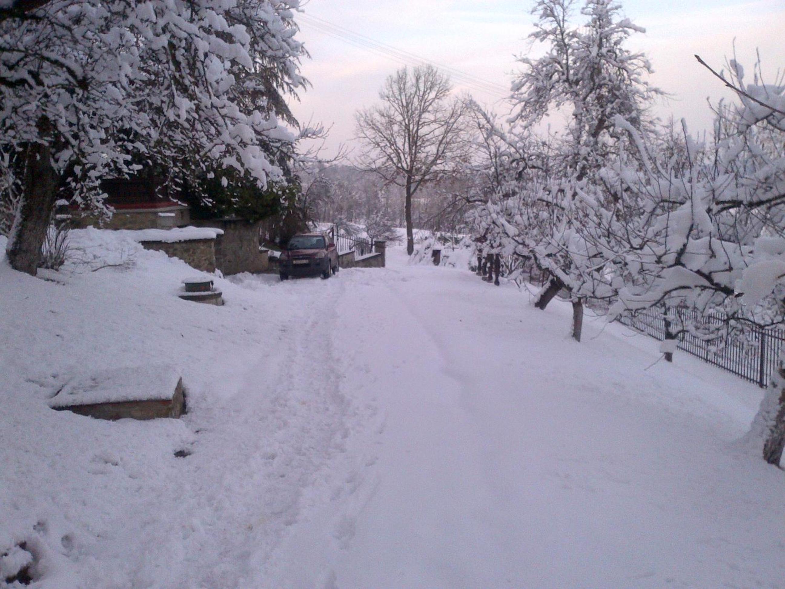 Photo 41