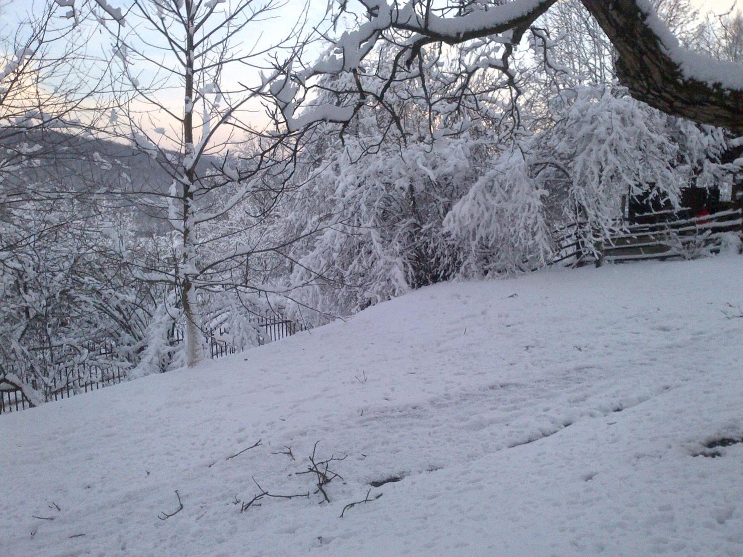 Photo 42