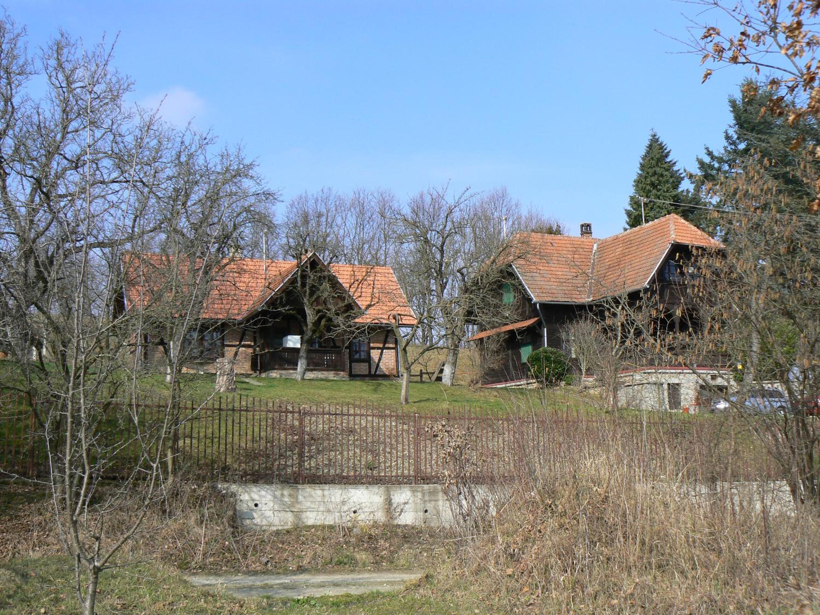 Photo 38
