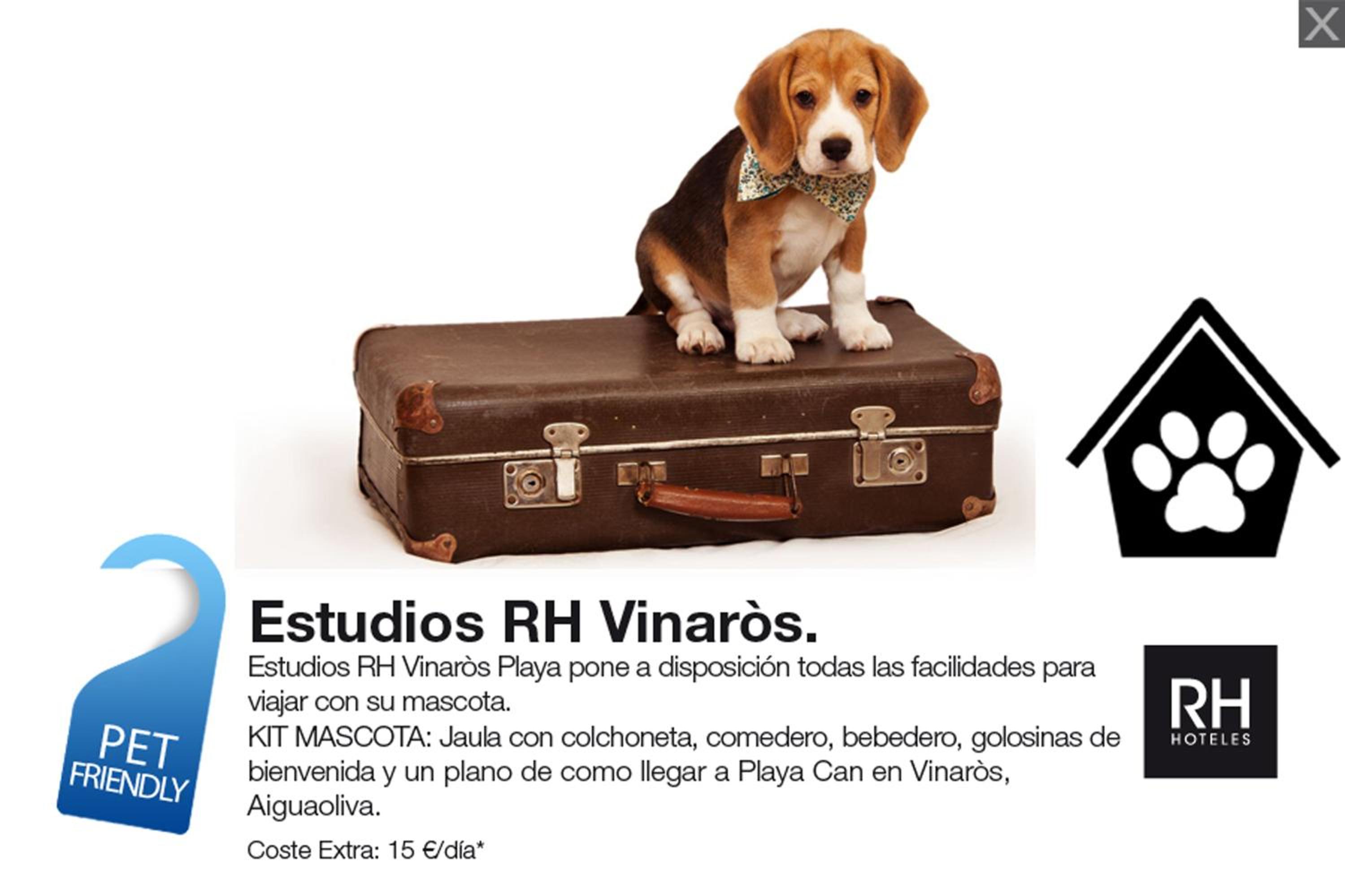 Estudios RH Vinaros