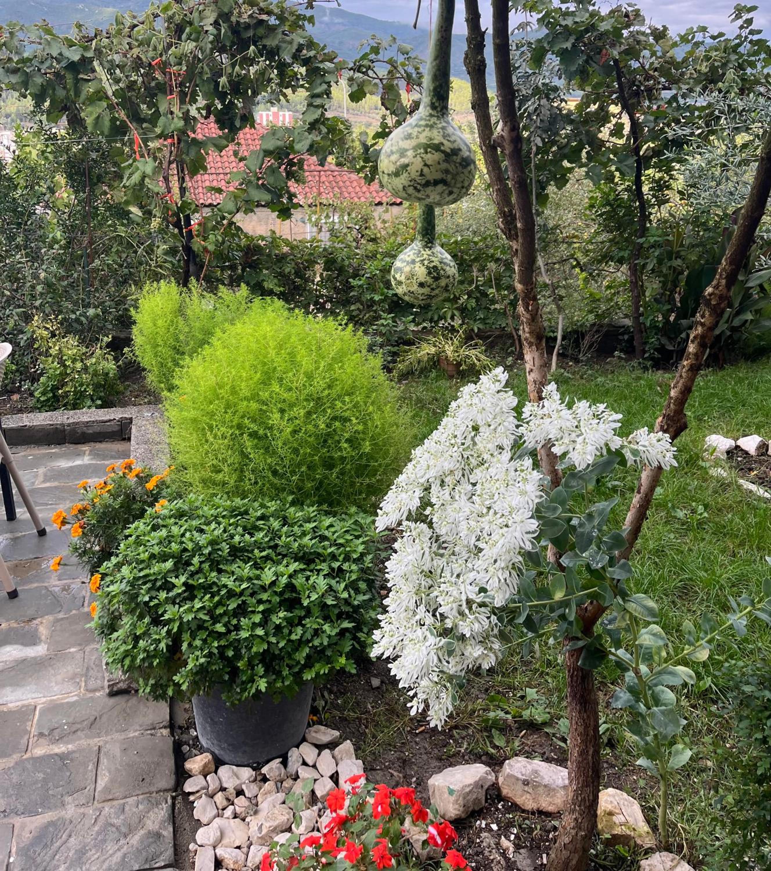 Honey Hill Villa