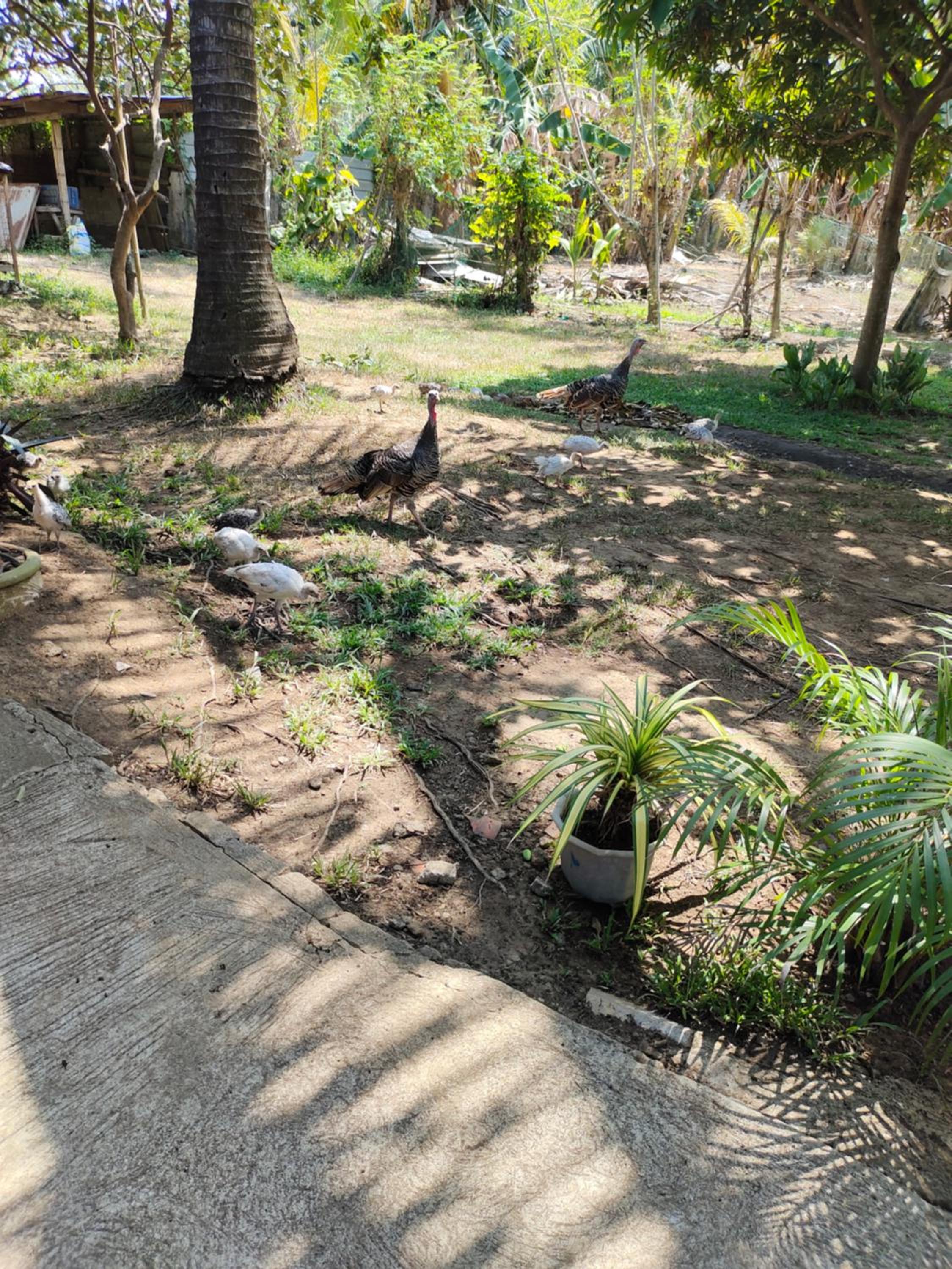 Biyaya Private Resort