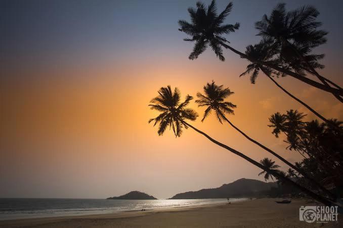 Palolem Paradise Guest House