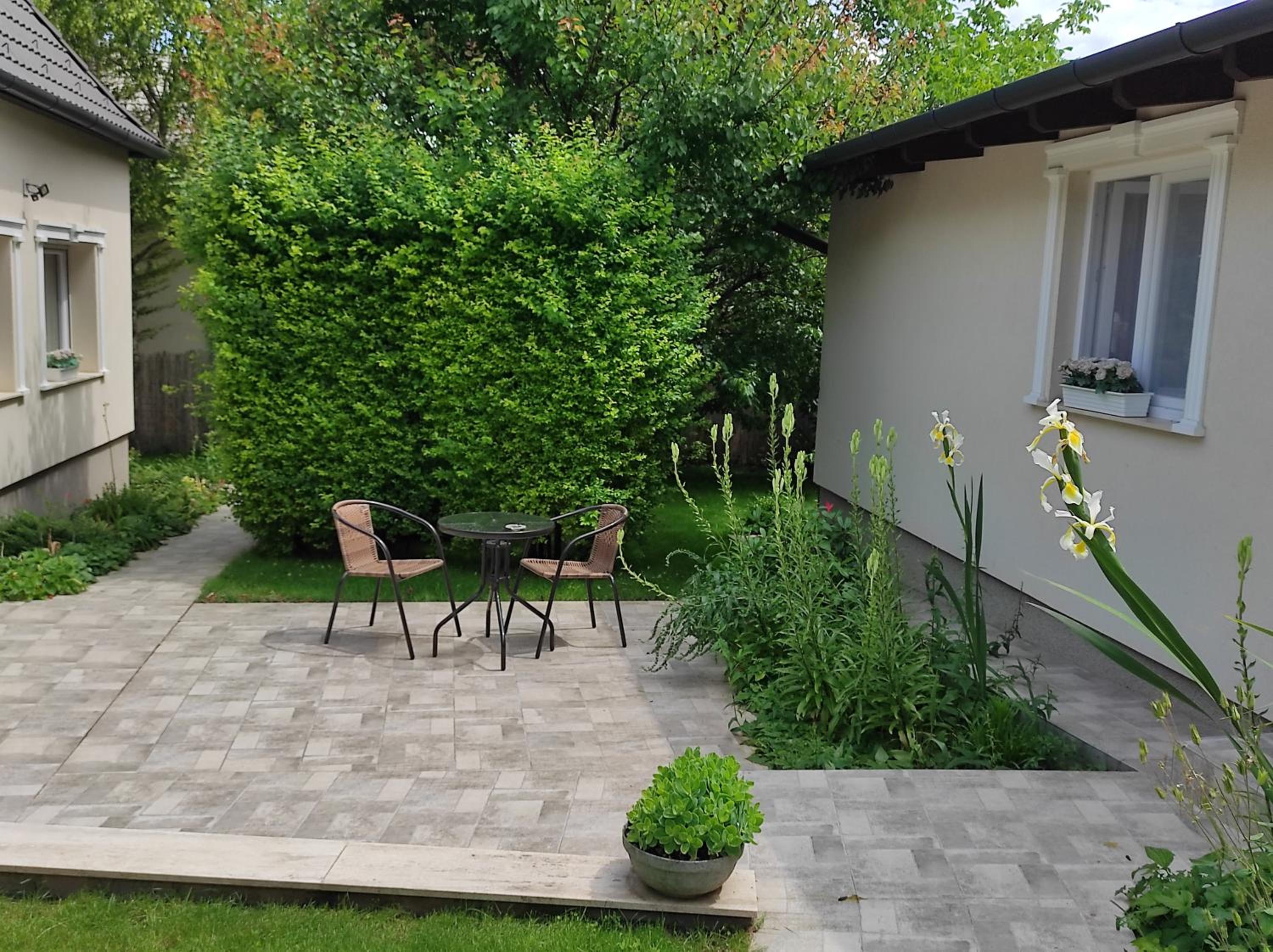 Photo 8