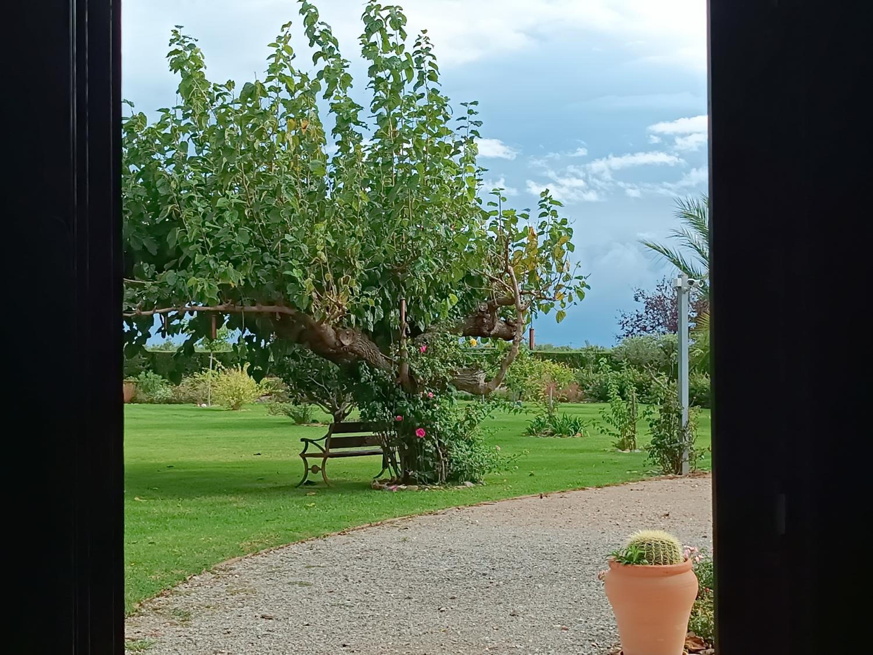 Mas Montbrio Belvedere