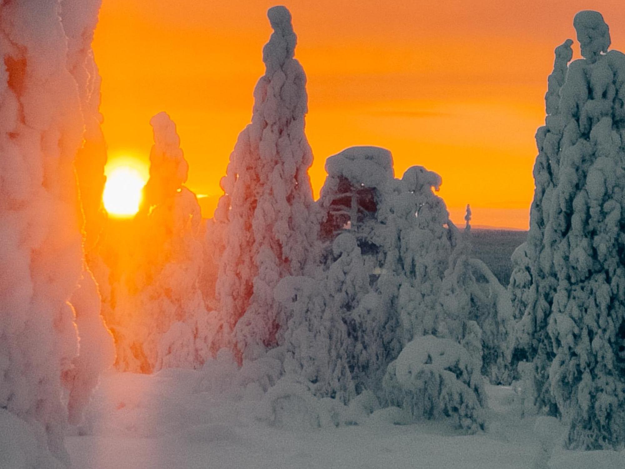 Villa Perhe in Salla-Kuusamo