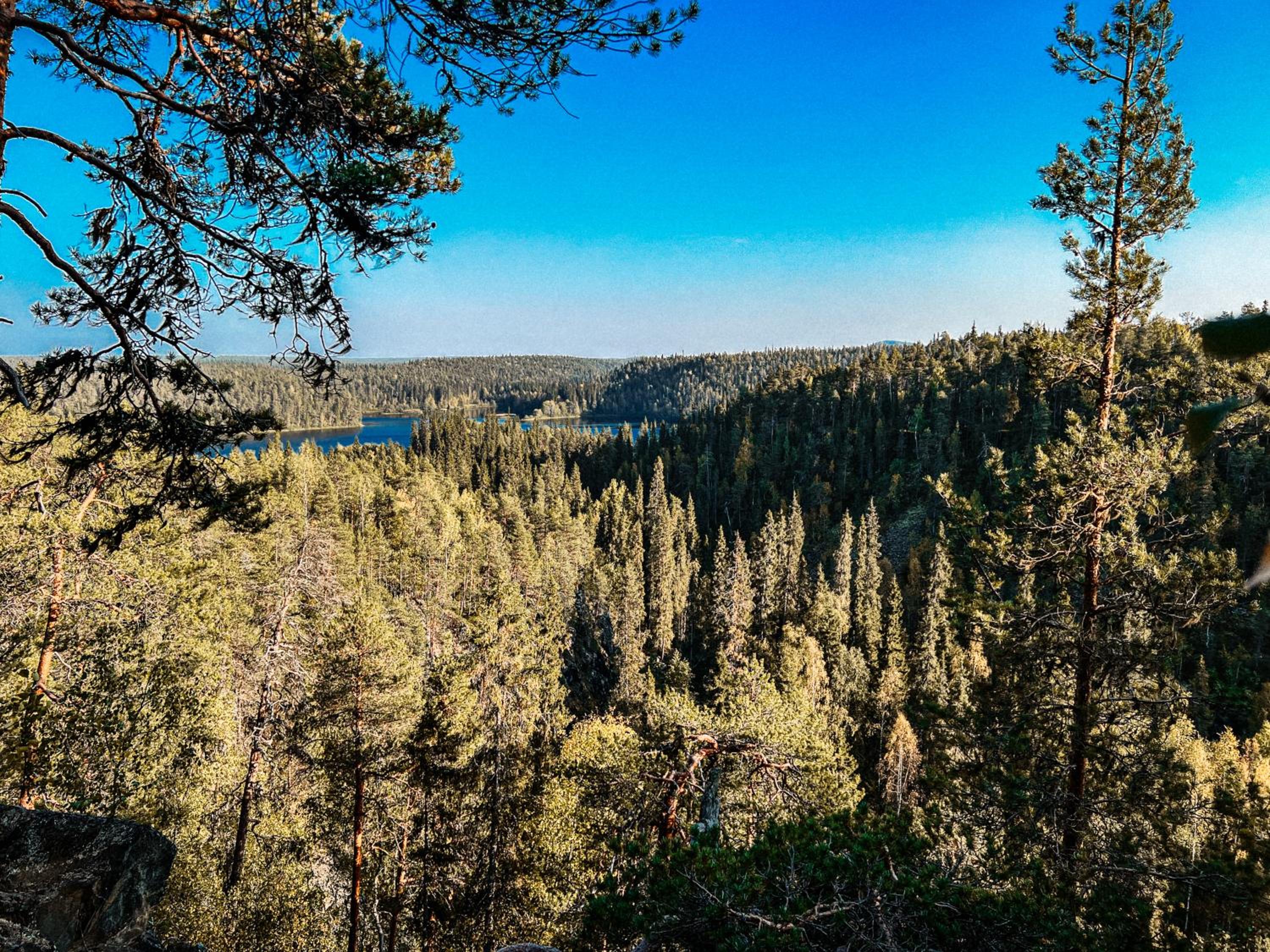 Villa Perhe in Salla-Kuusamo