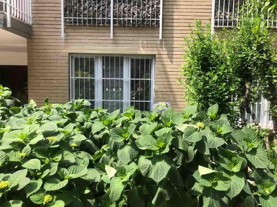 3 bedrooms flat fully equipped with pool & tennis