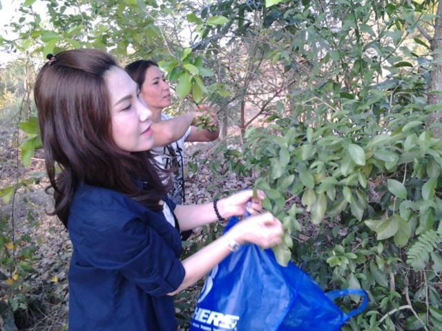 Sukhothai City Resort