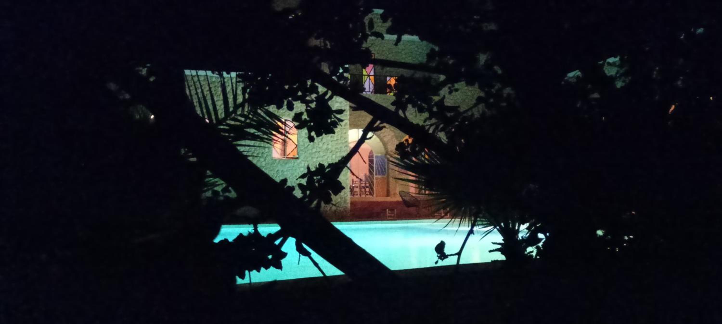 Photo 8