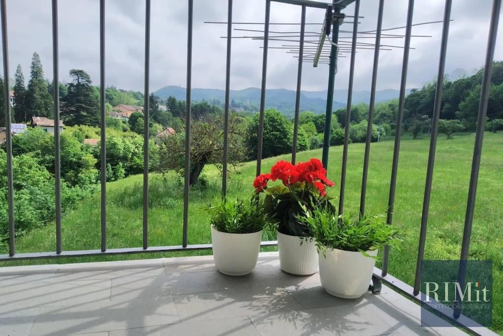 La casetta nel Borgo del Coletto