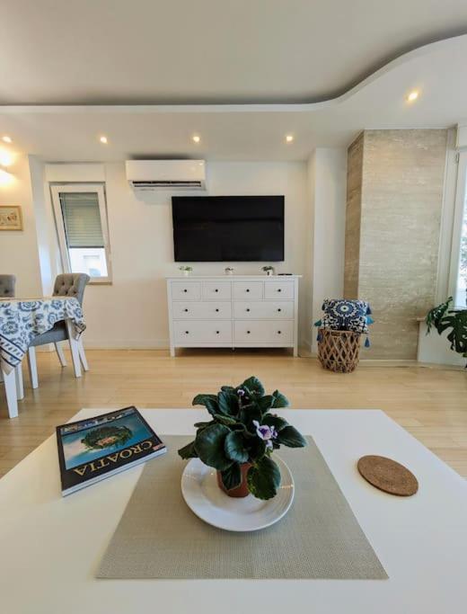 Seaside Bliss in Split view 5