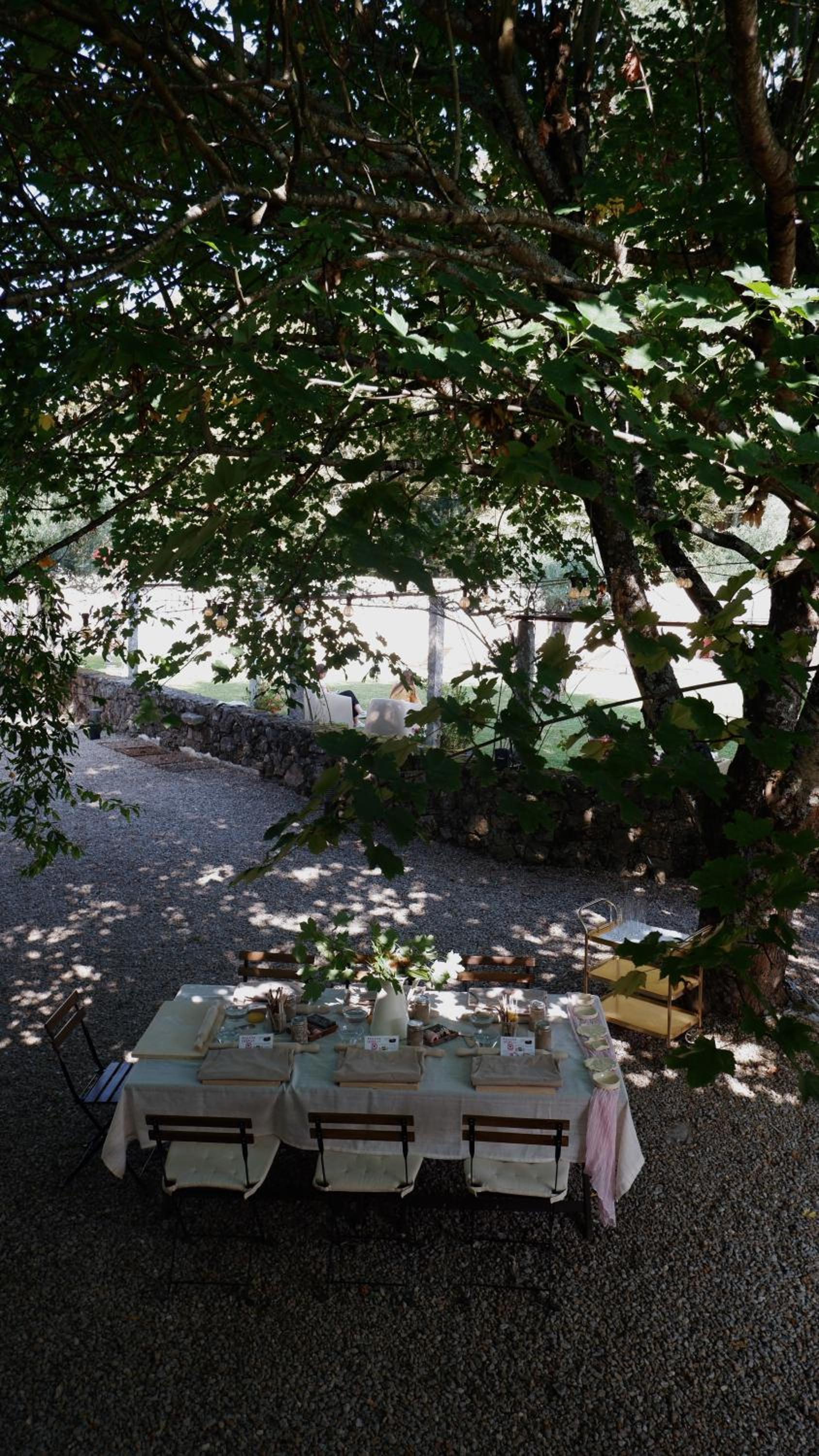 Photo 48