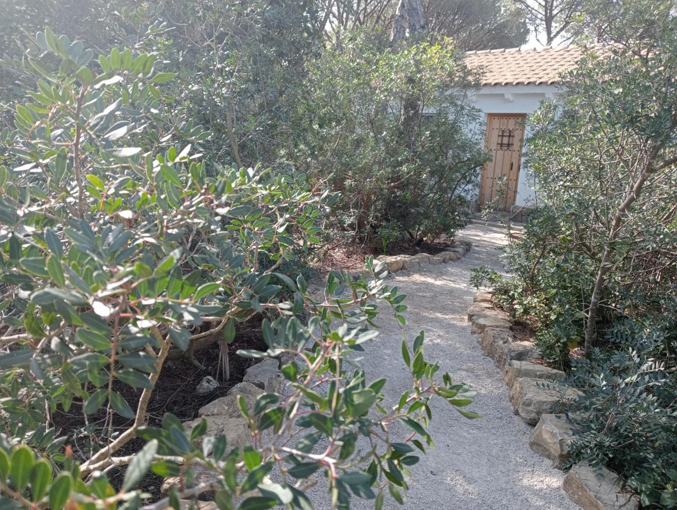 Casa Palmito 2 view 2