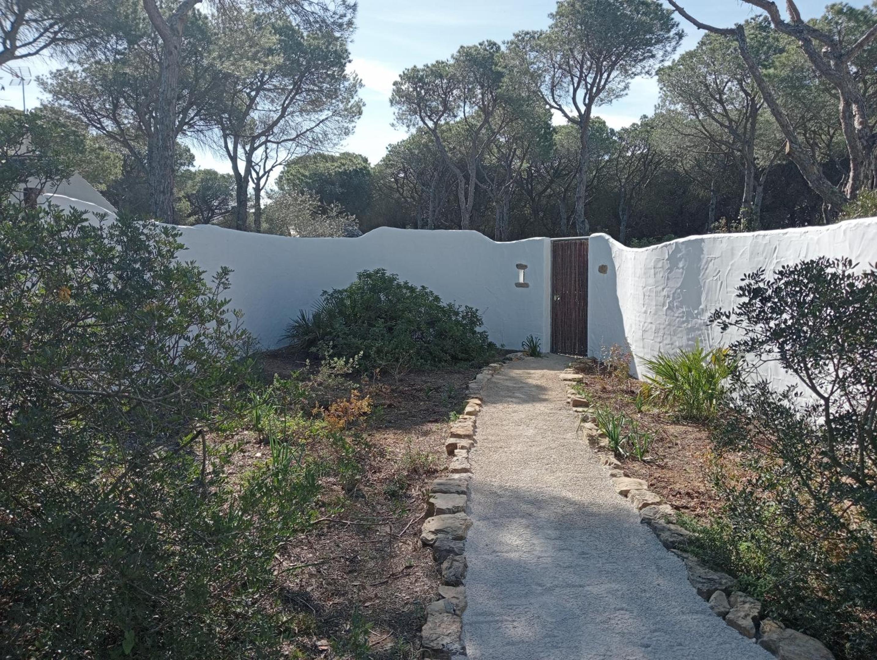 Casa Palmito 2 view 4