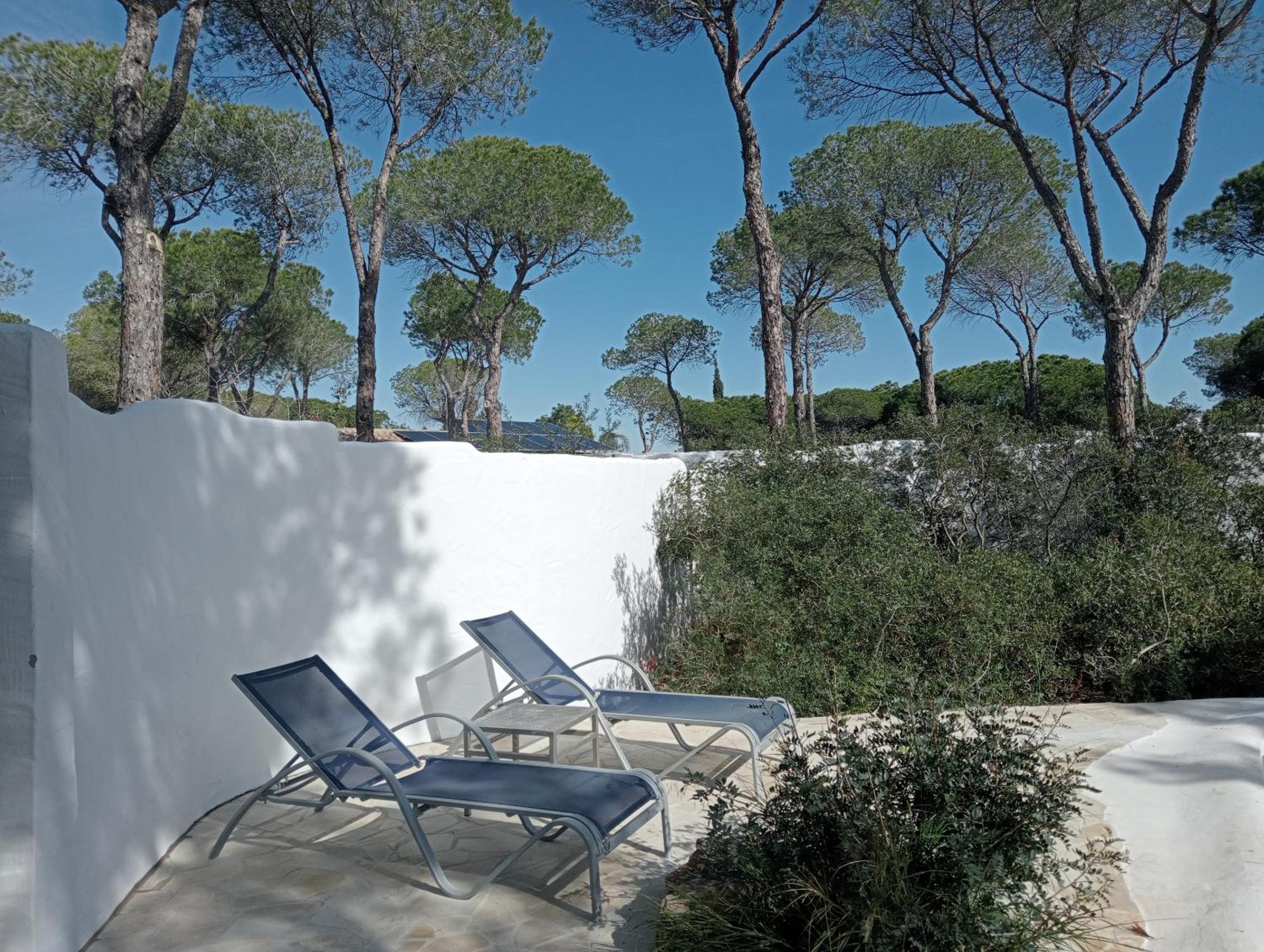 Casa Palmito 2 view 5