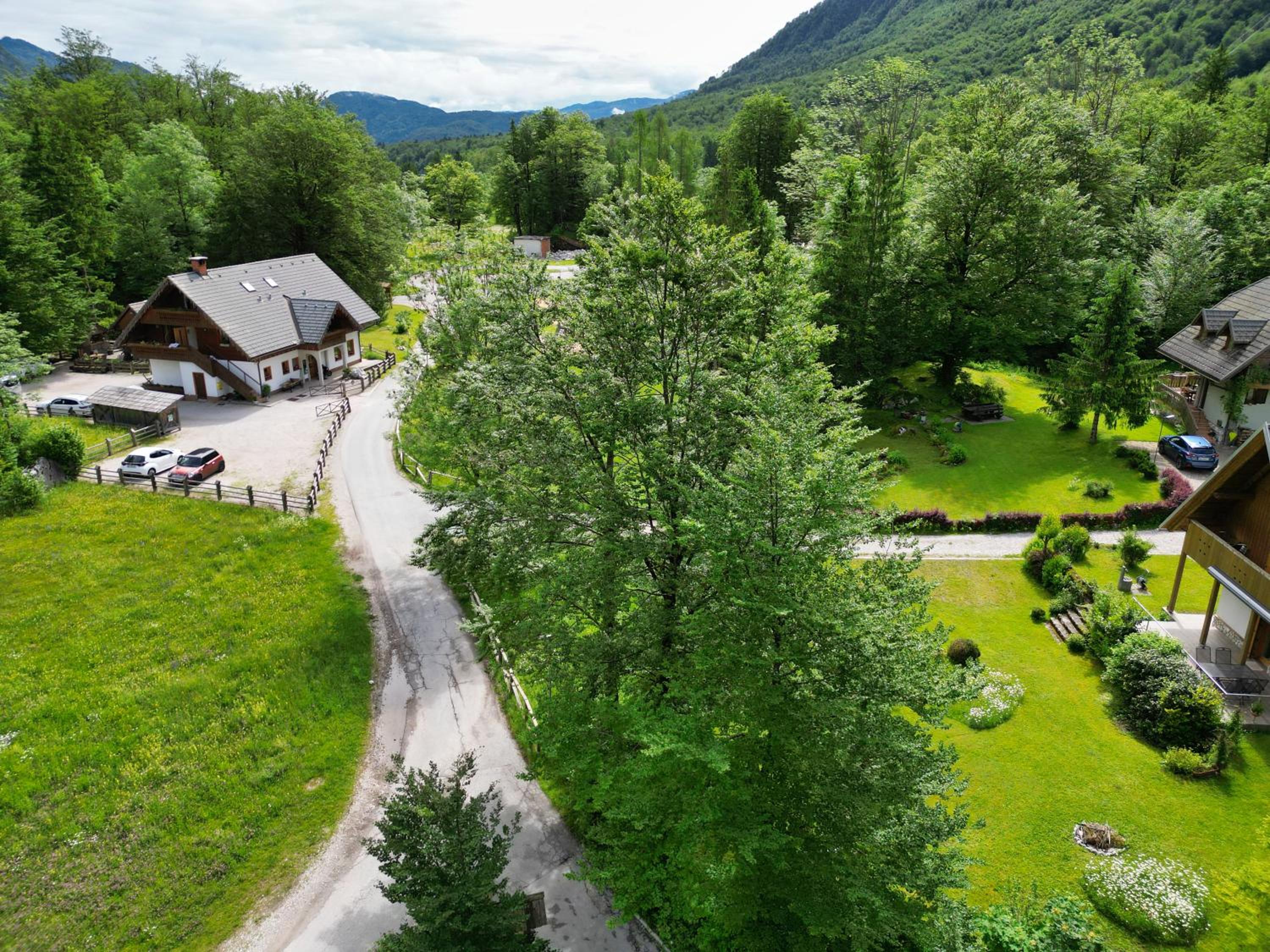 Apartments Lake Bohinj