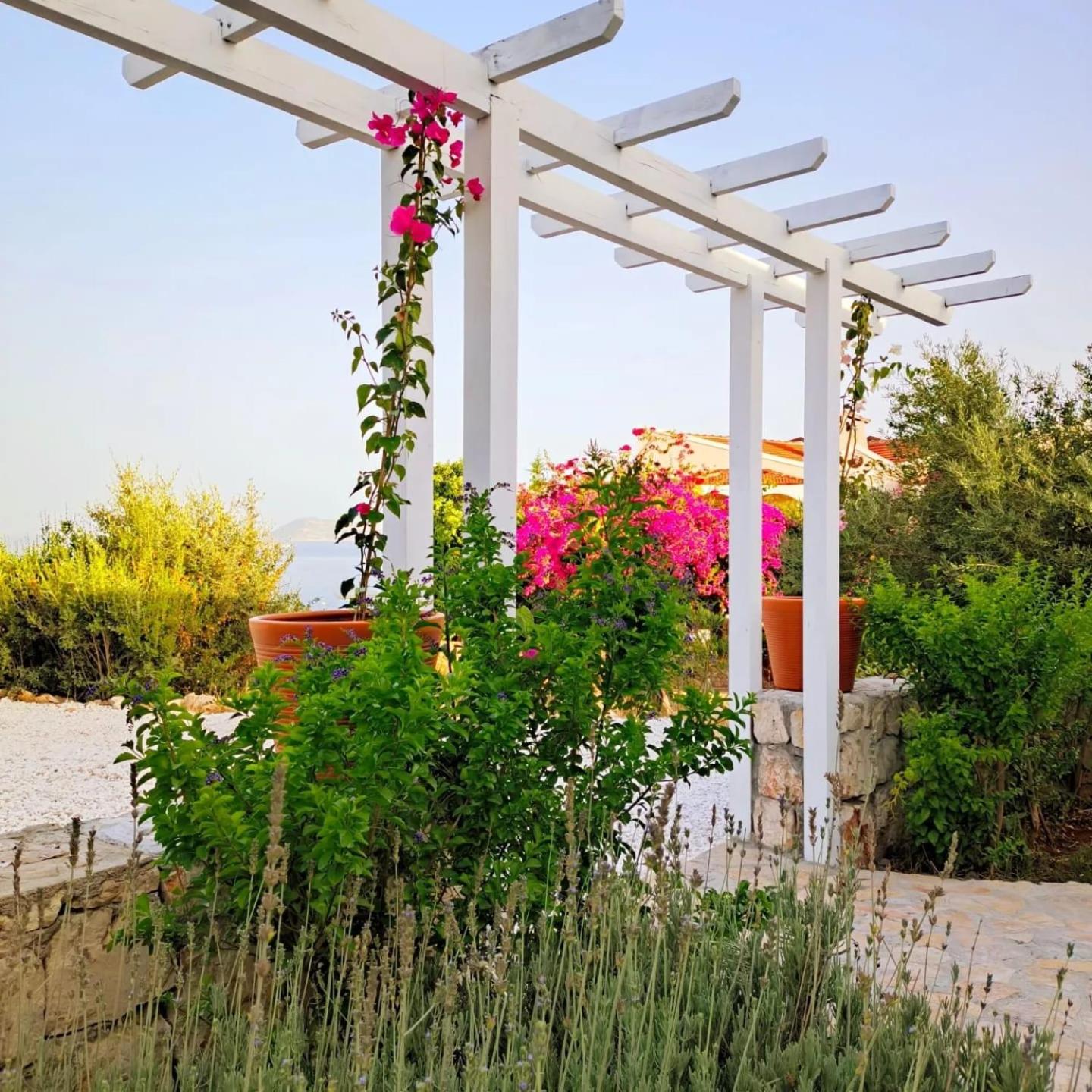 Sea Garden - Image 118