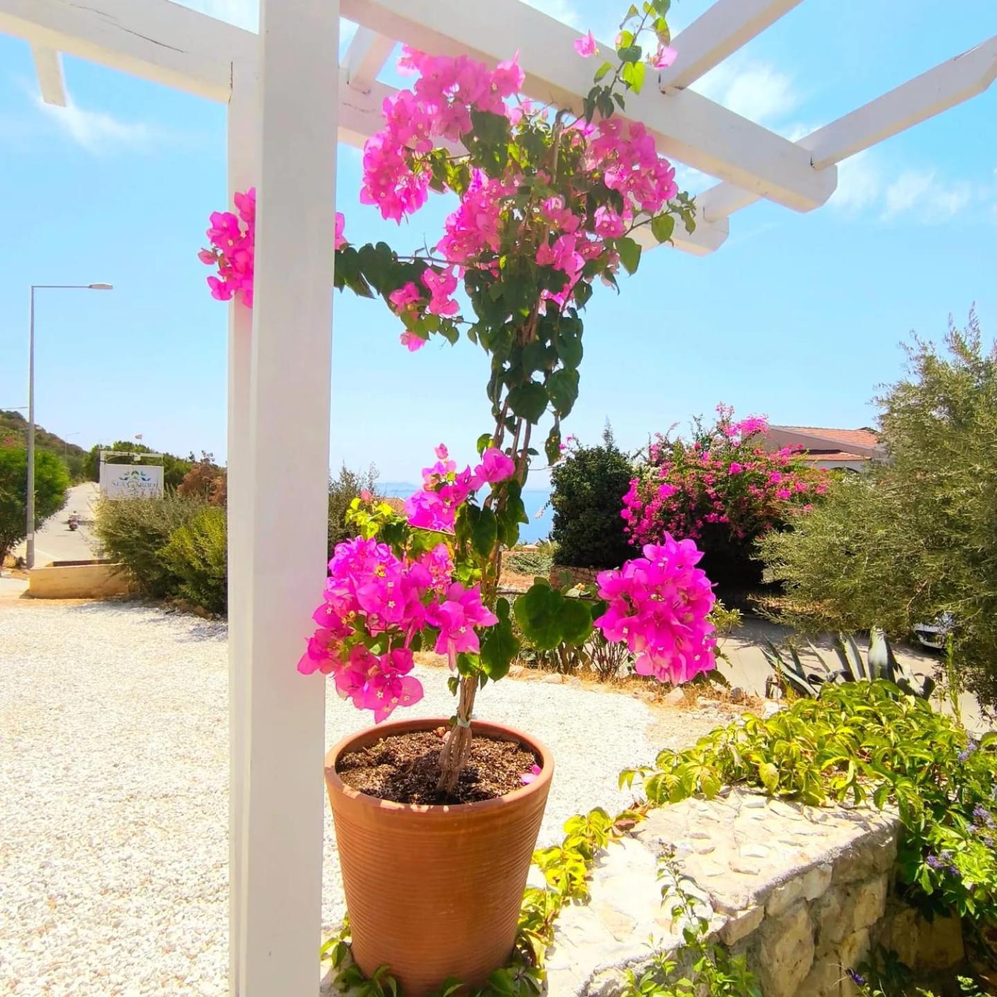 Sea Garden - Image 119