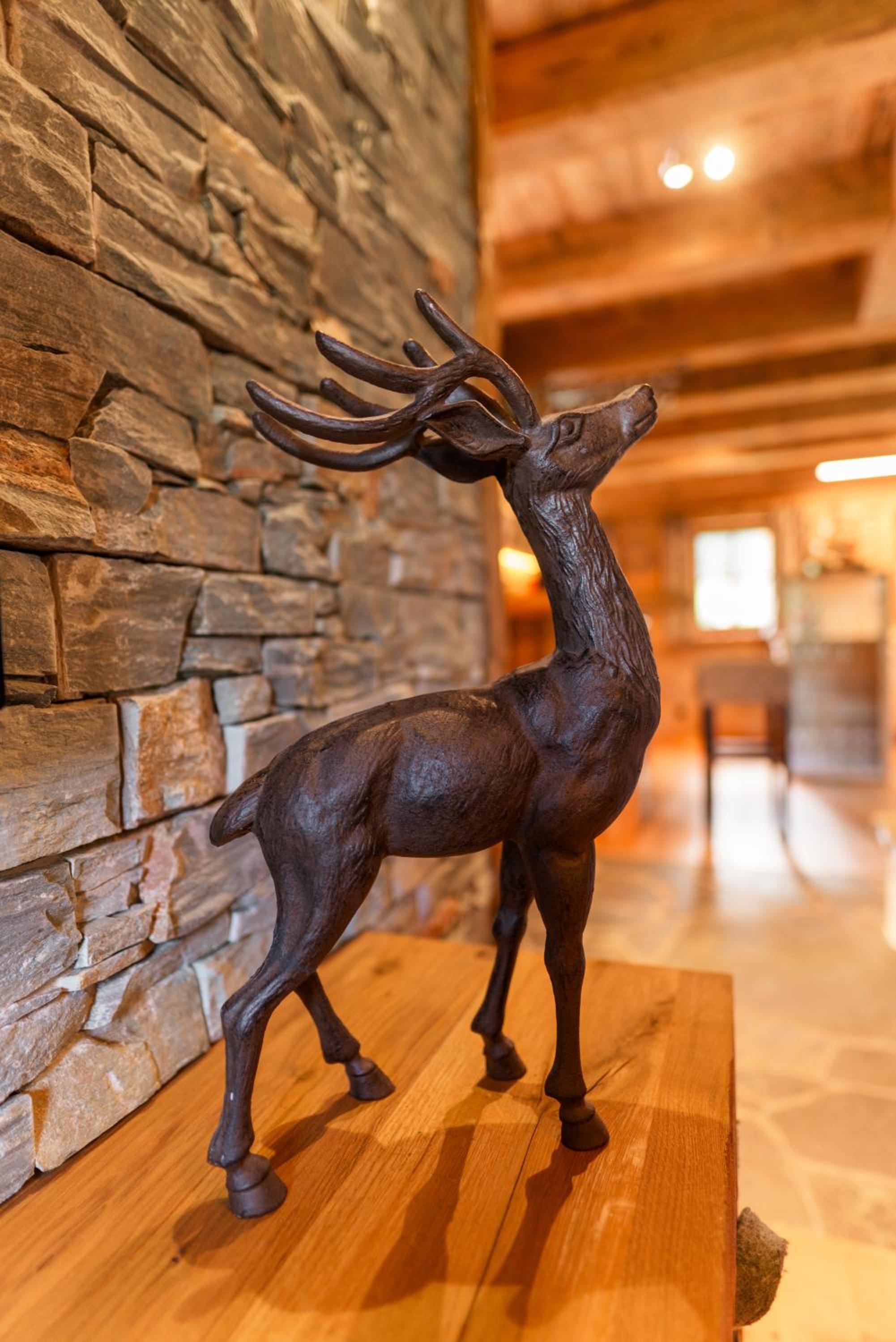 Chalet am Oberhausberg, Region Schladming Dachstein