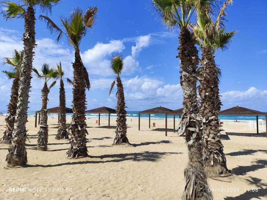 Bat yam Colony beach suite
