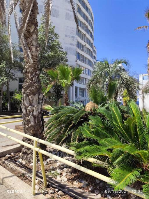Bat yam Colony beach suite
