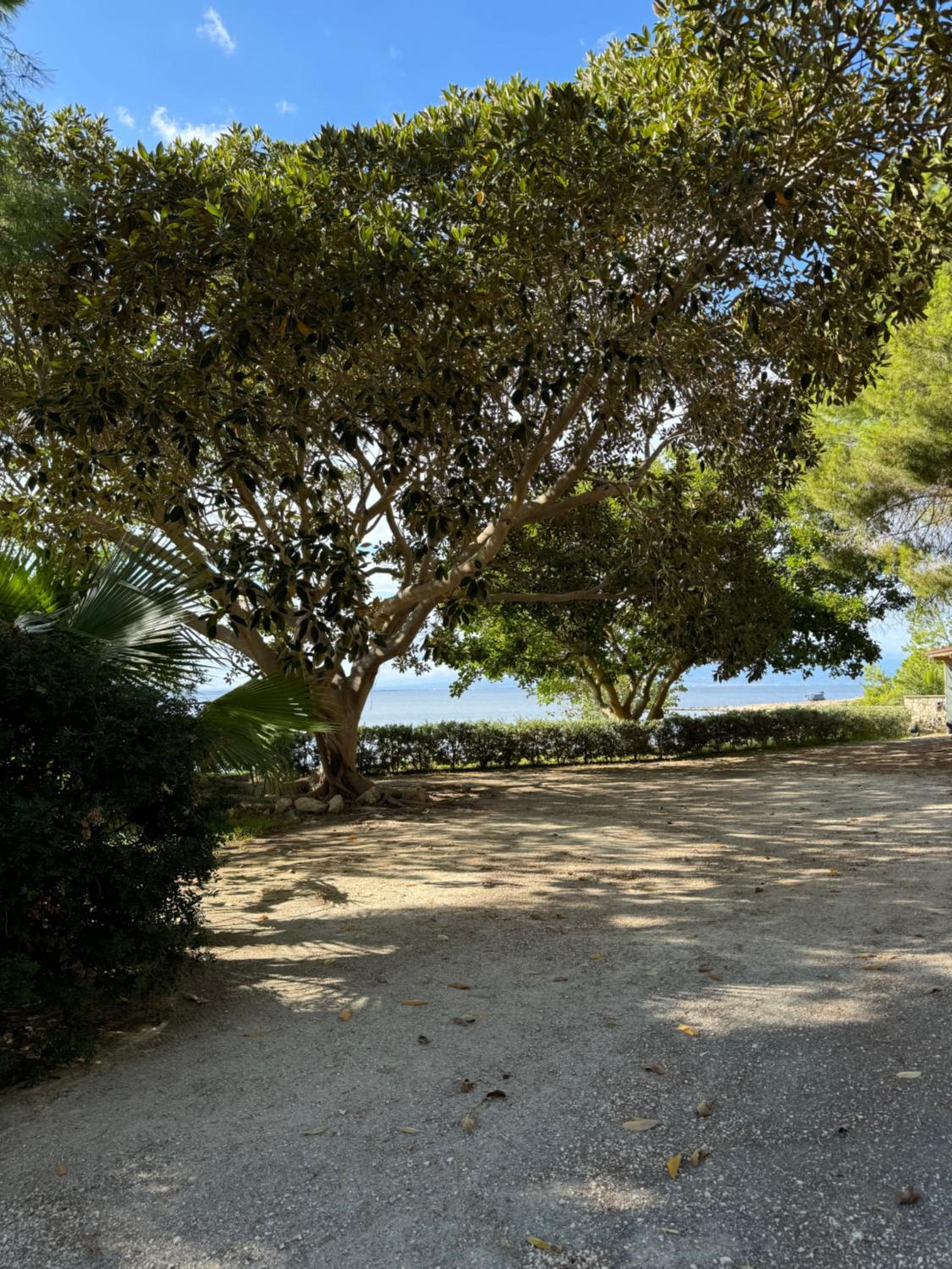 Villa Sogno sul mare view 4