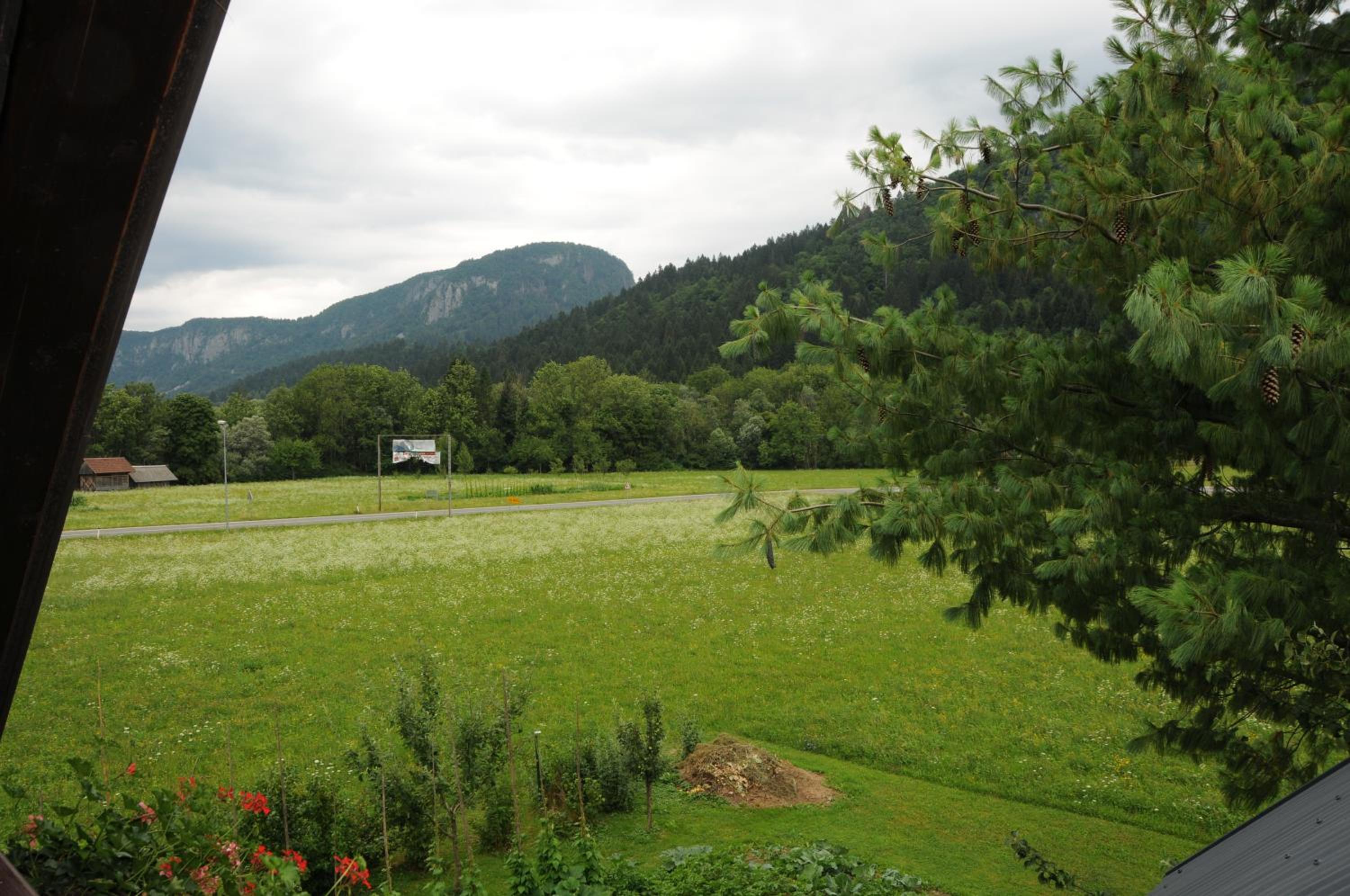 Photo 45
