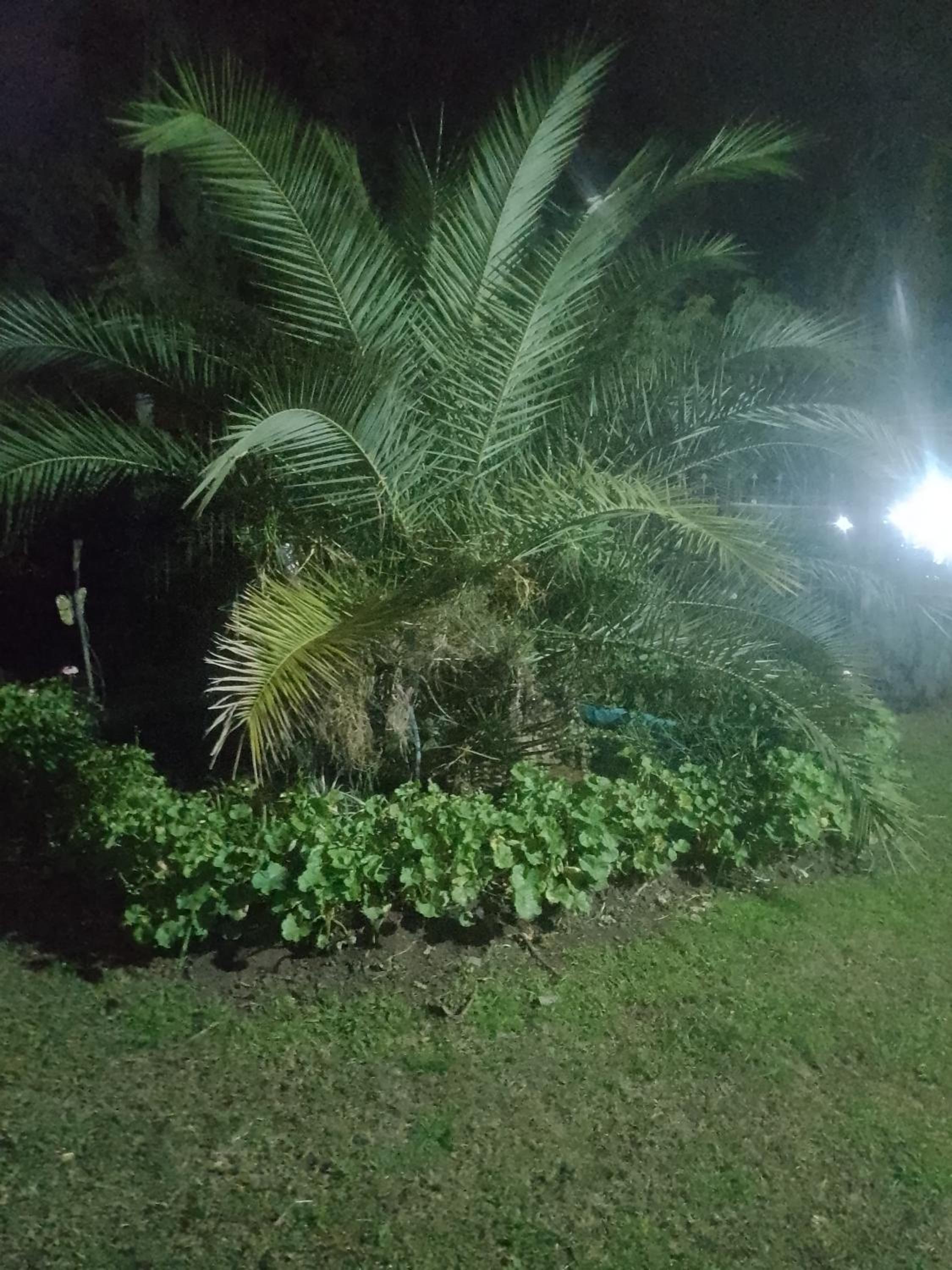 'Rincón de Onena' monoambiente