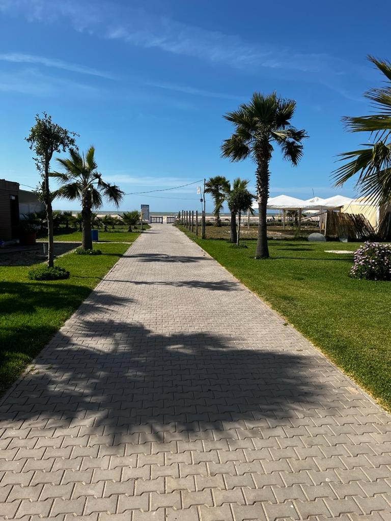 Photo 34