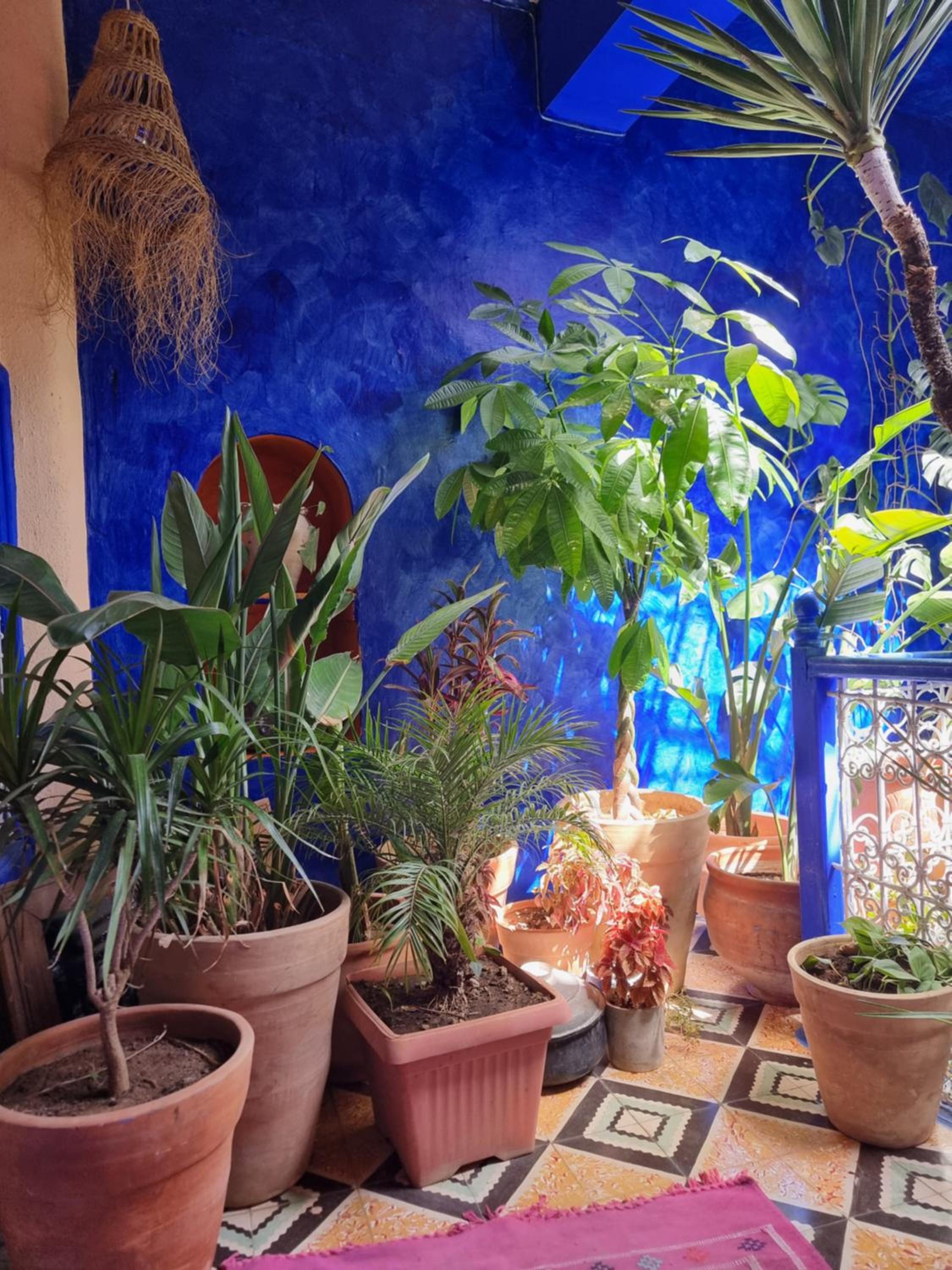 Hotel Casa Amina - Image 1