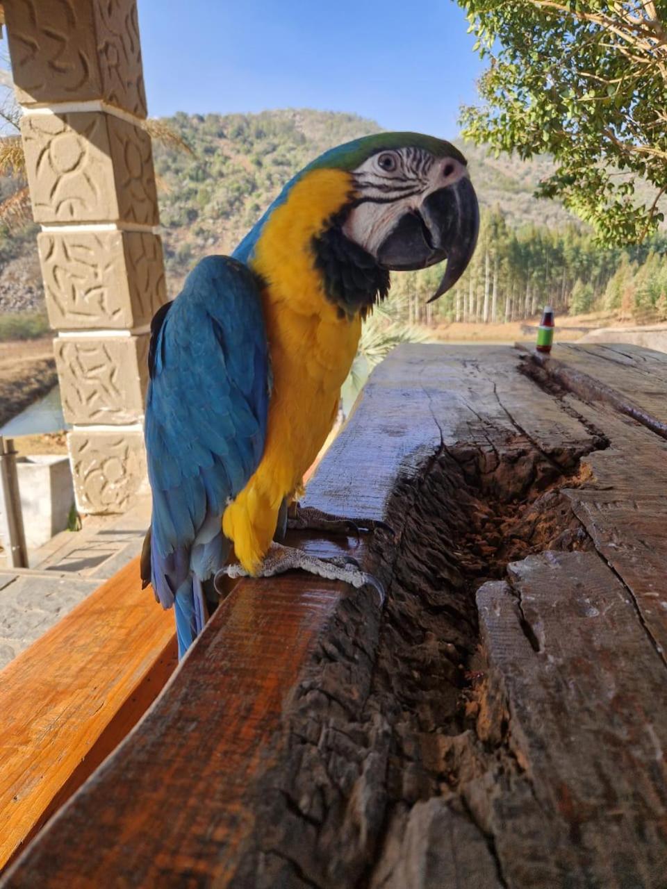 Emahlathini Guest Farm