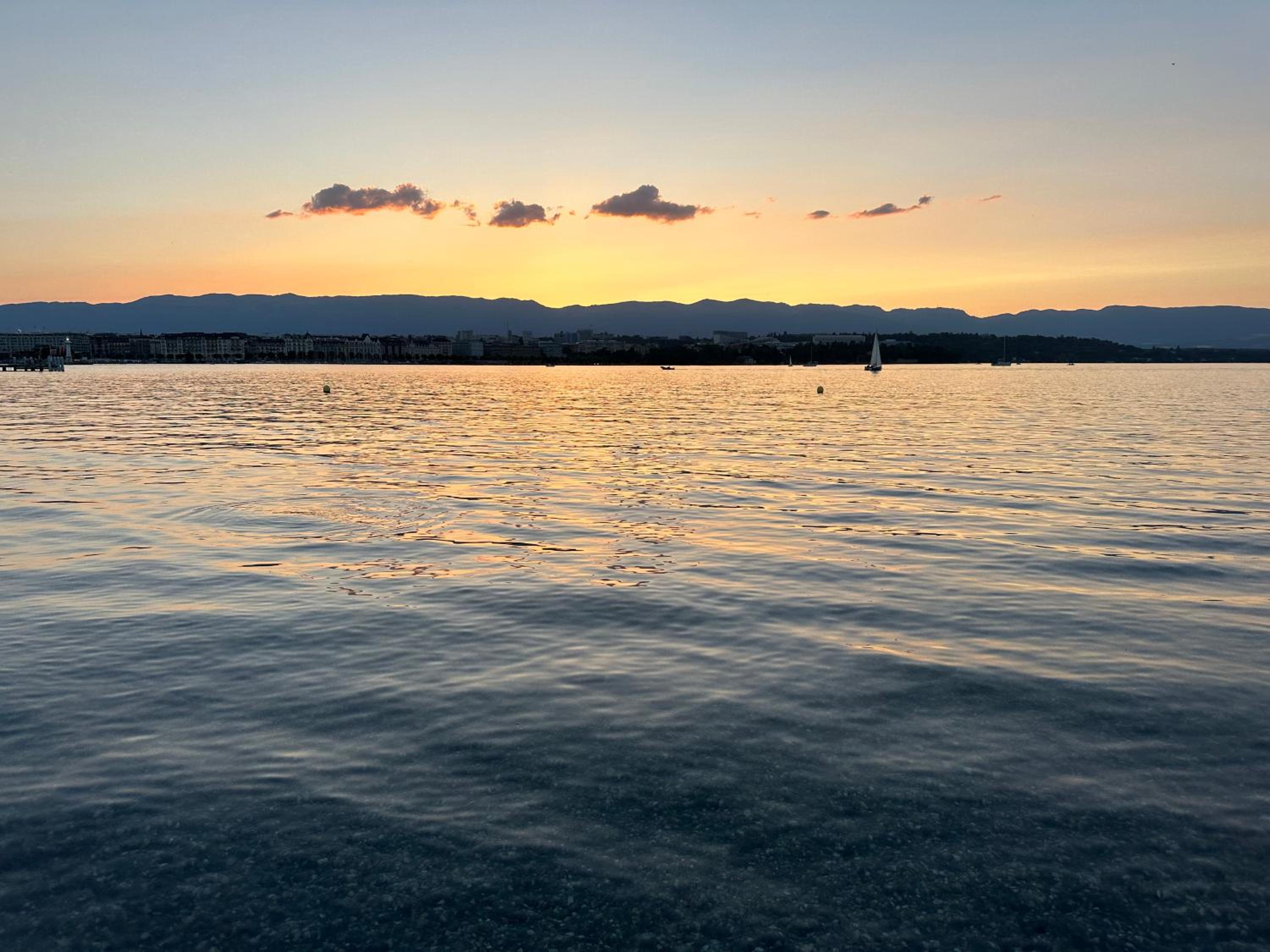 Genève magnifique appartemens aux Eaux vives