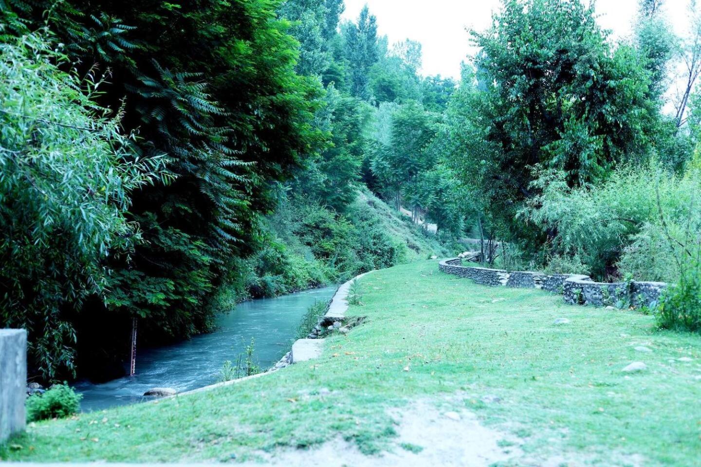 Photo 12