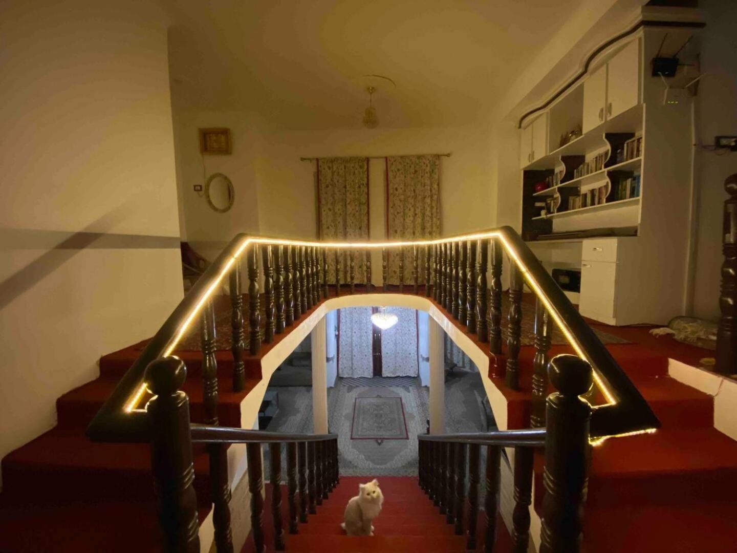 Photo 36
