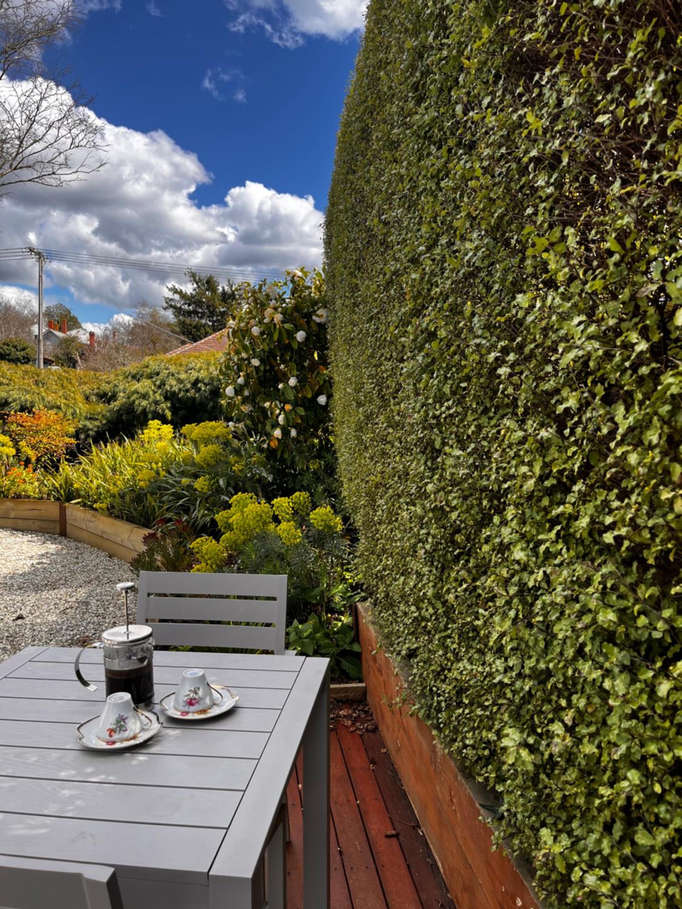 Hidden Hedges - 5 min walk to town