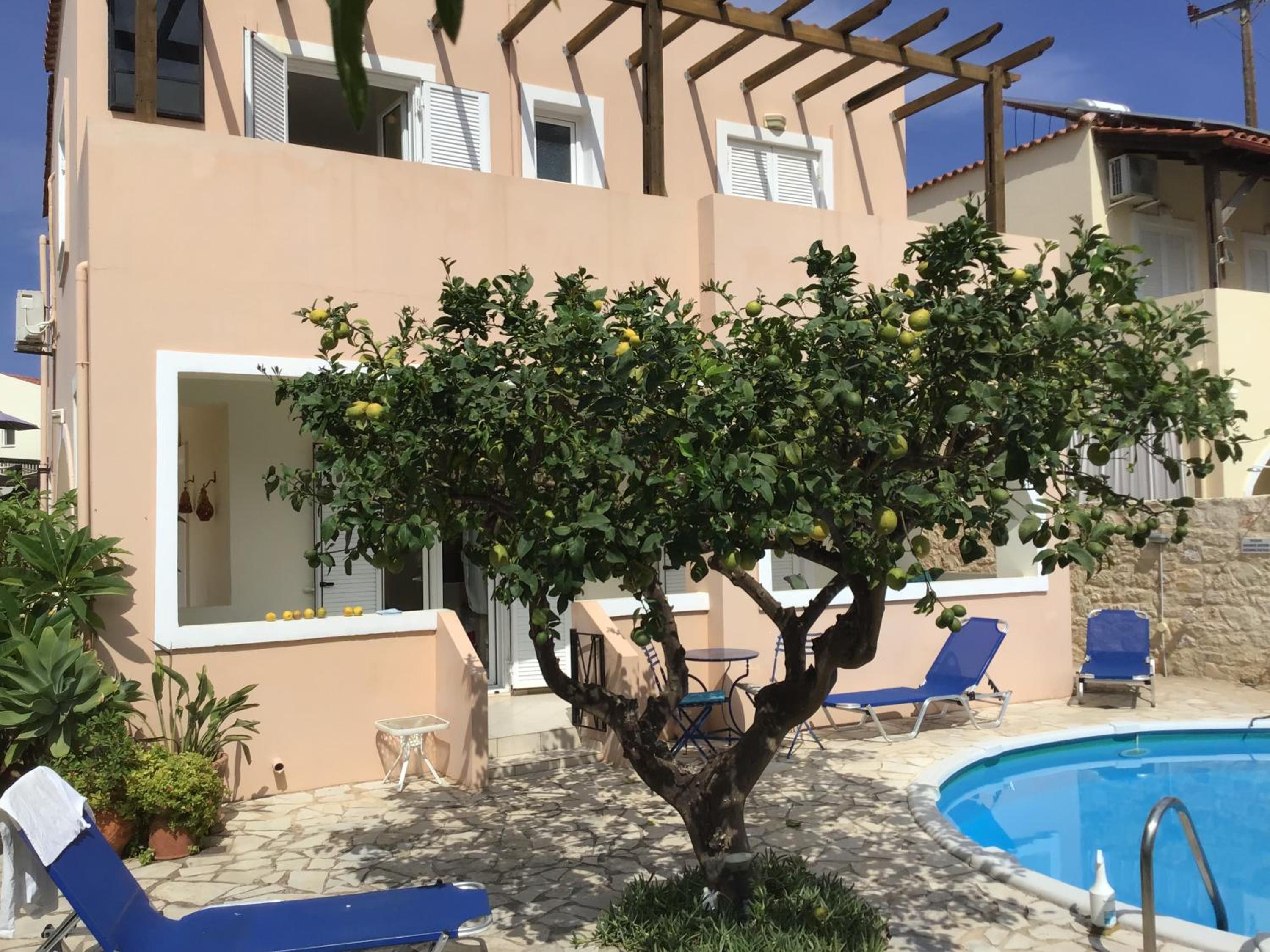 Lemon Tree