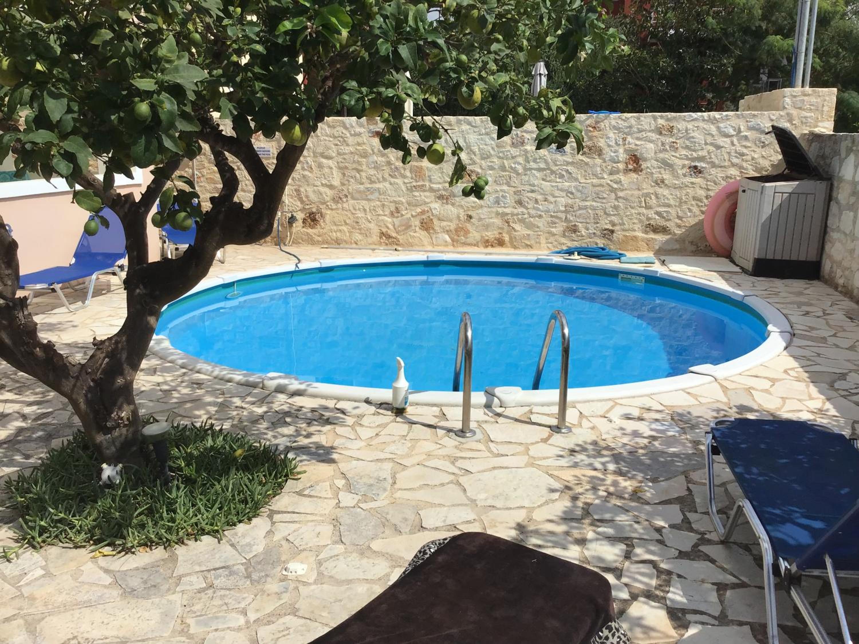 Lemon Tree