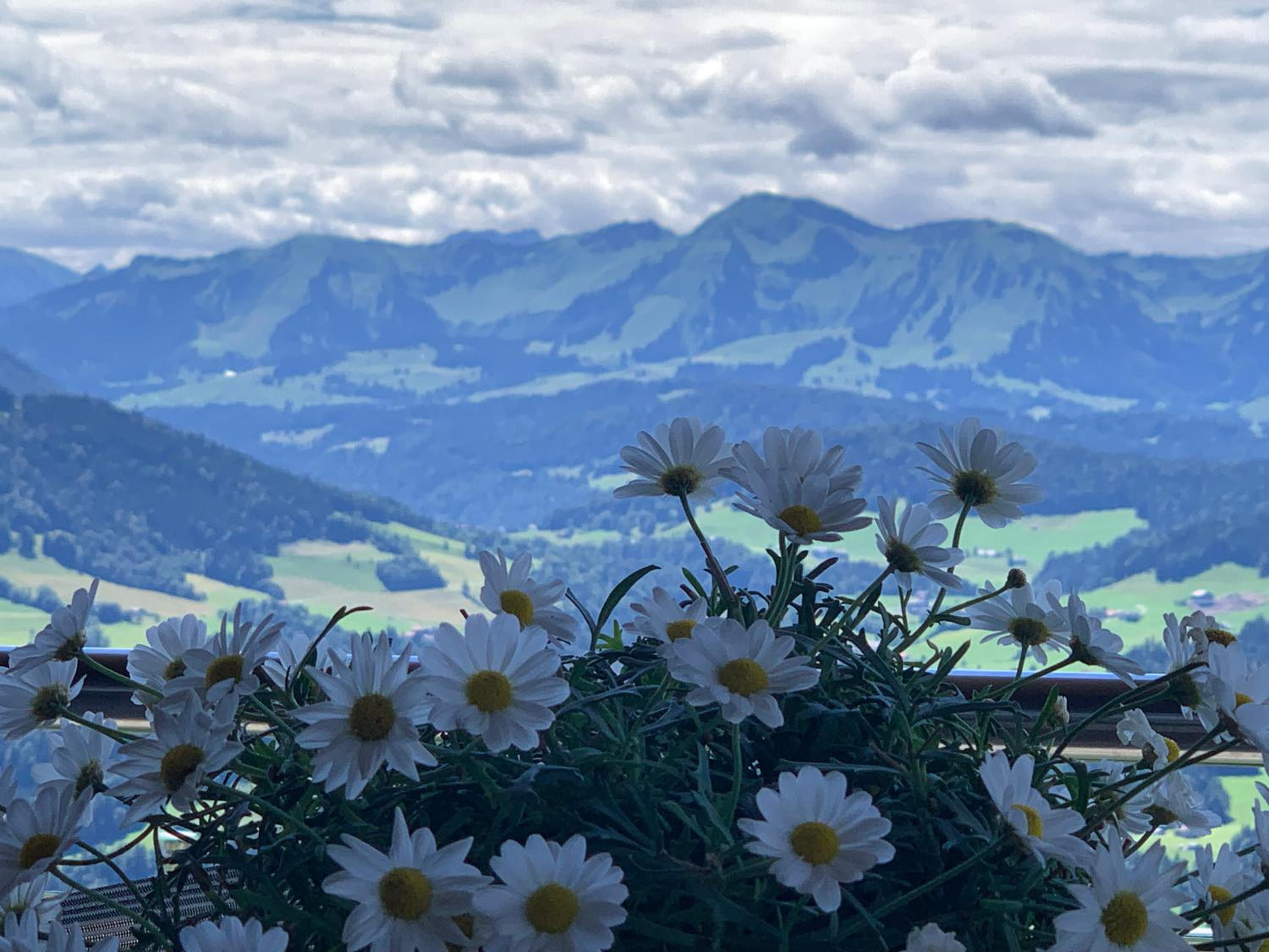 Ferienwohnung Alpenglück