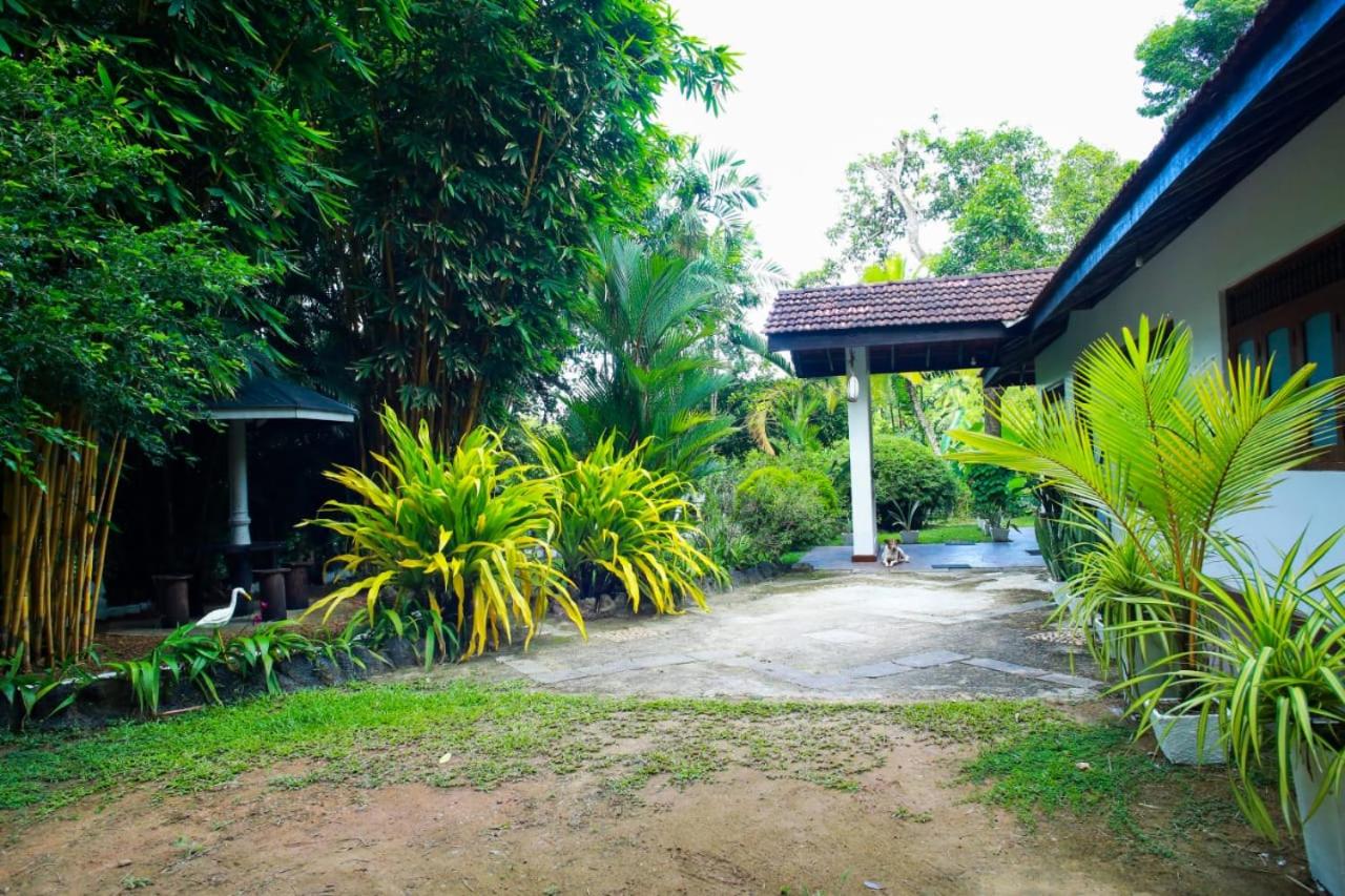 Cinnamon Eco Villa Mirissa view 4
