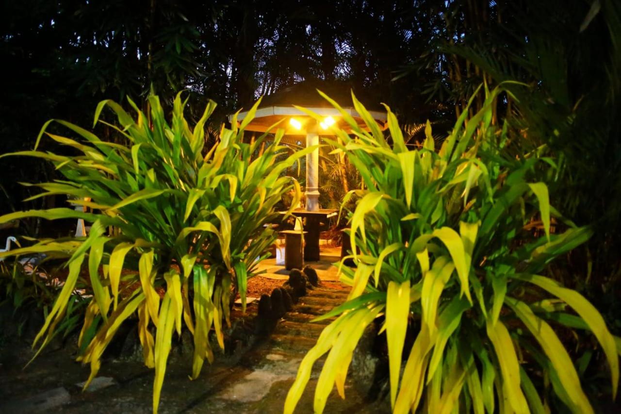 Cinnamon Eco Villa Mirissa view 2