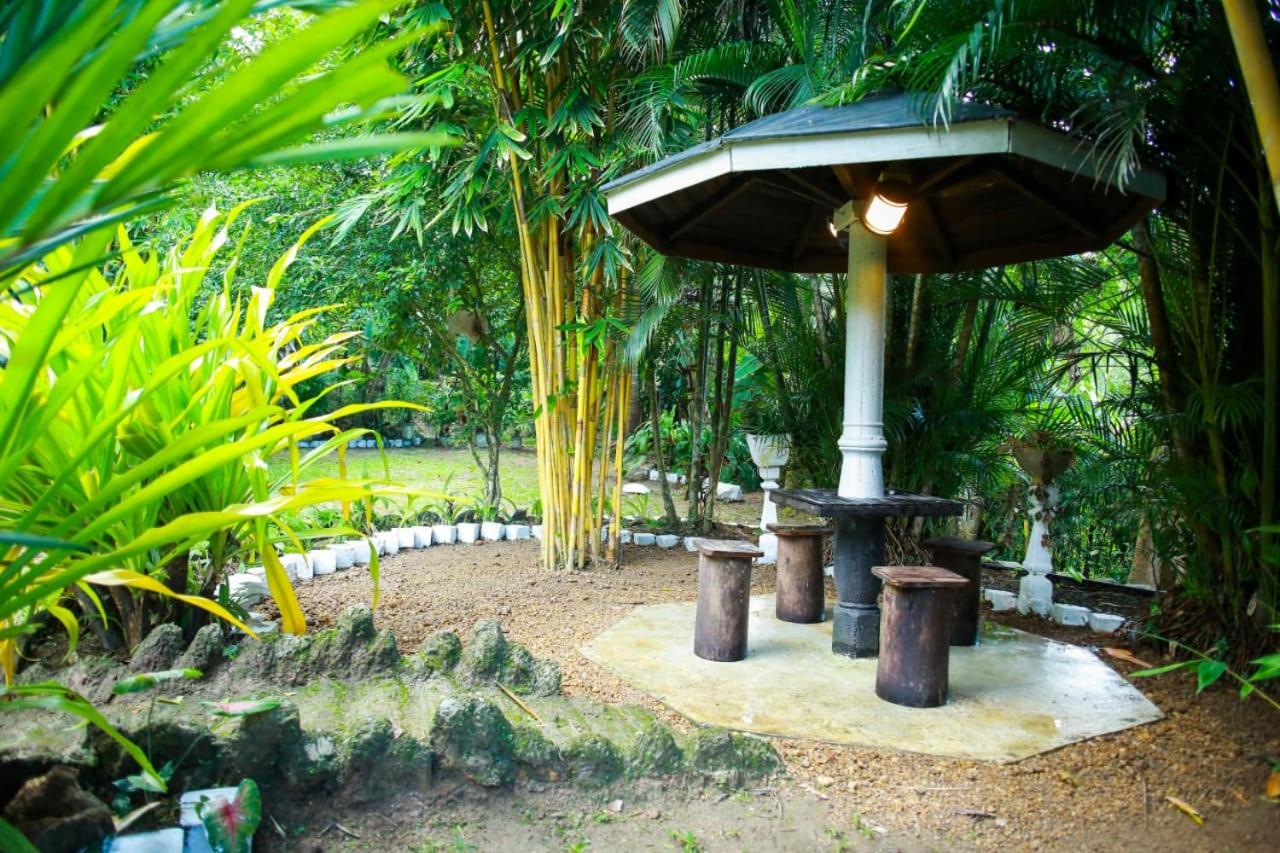 Cinnamon Eco Villa Mirissa view 3