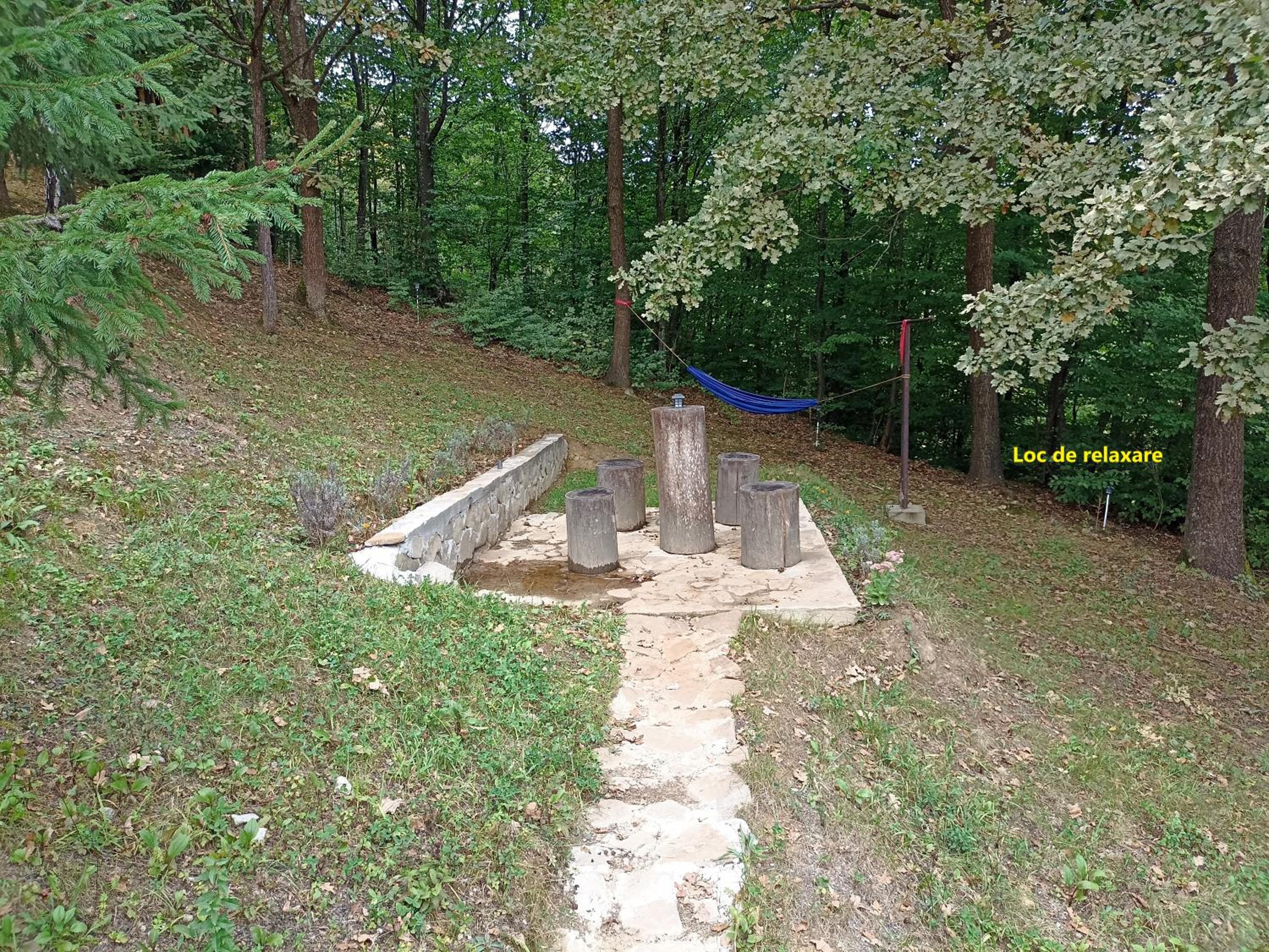 A Frame Cabin - Valea Vinului view 3