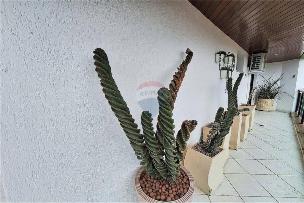 Piscina Sacada 3 Quartos 1 Suíte 2 Vagas Garagem Ar Condicionado