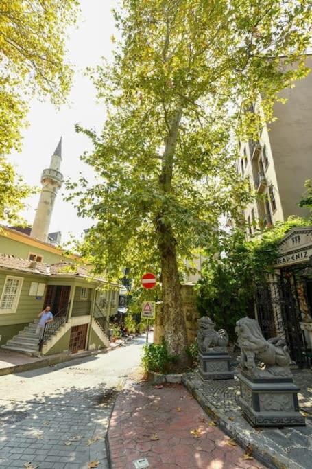 Taksim Private Terrace Close to Antique Store Galata Port Cihangir