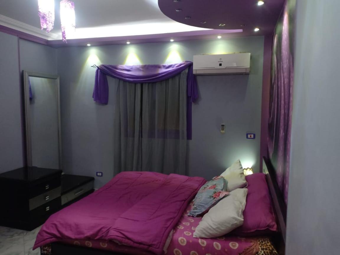 family& friends maadi apartment