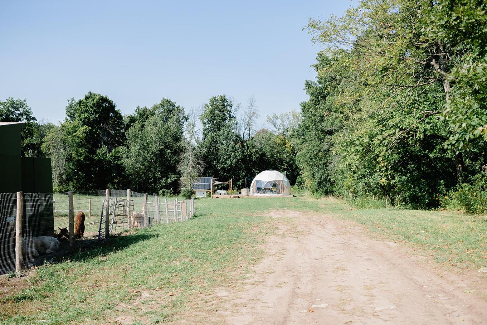 Open Sky Glamping Kawartha Dome