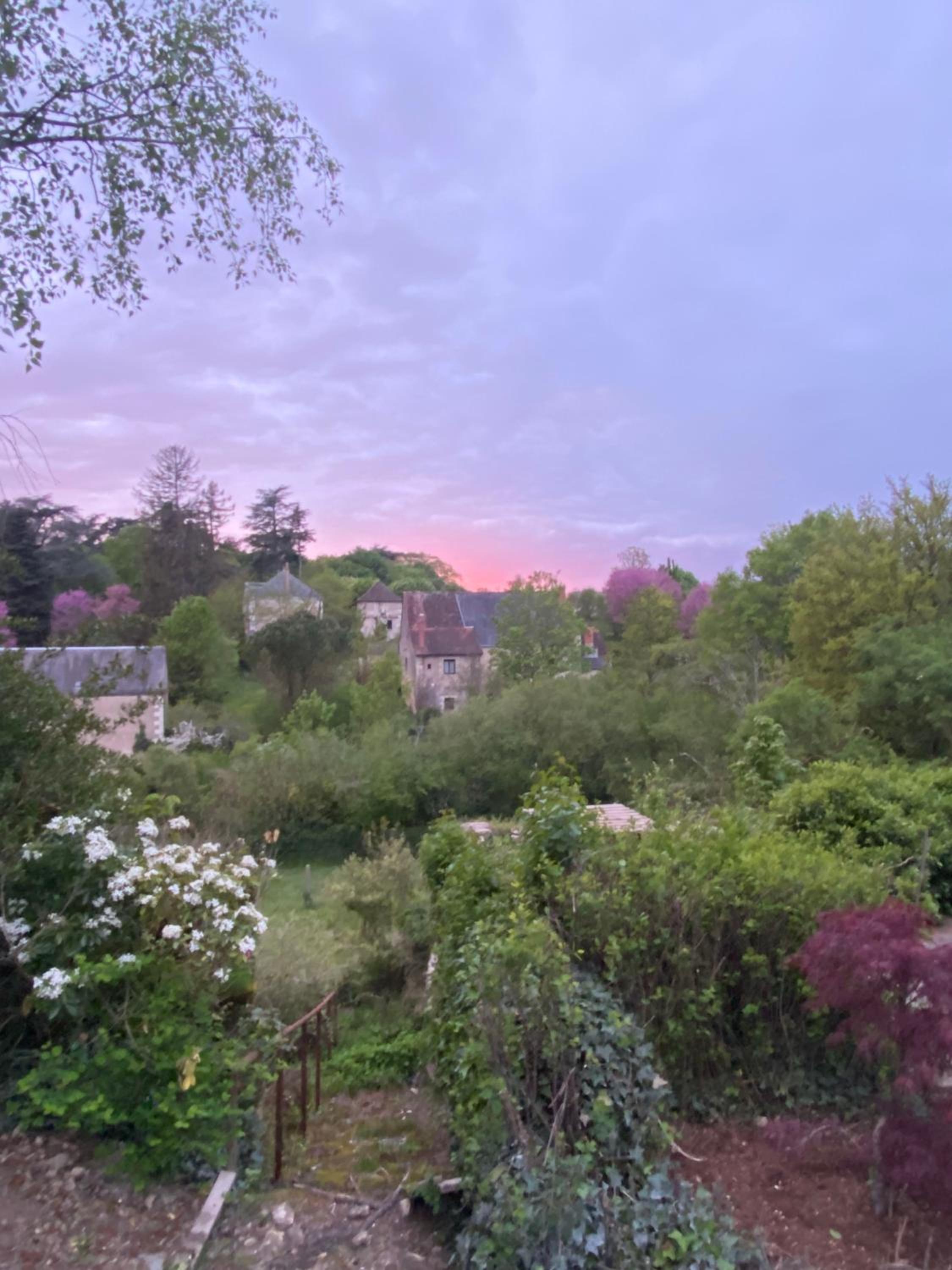 Clos des Mésanges