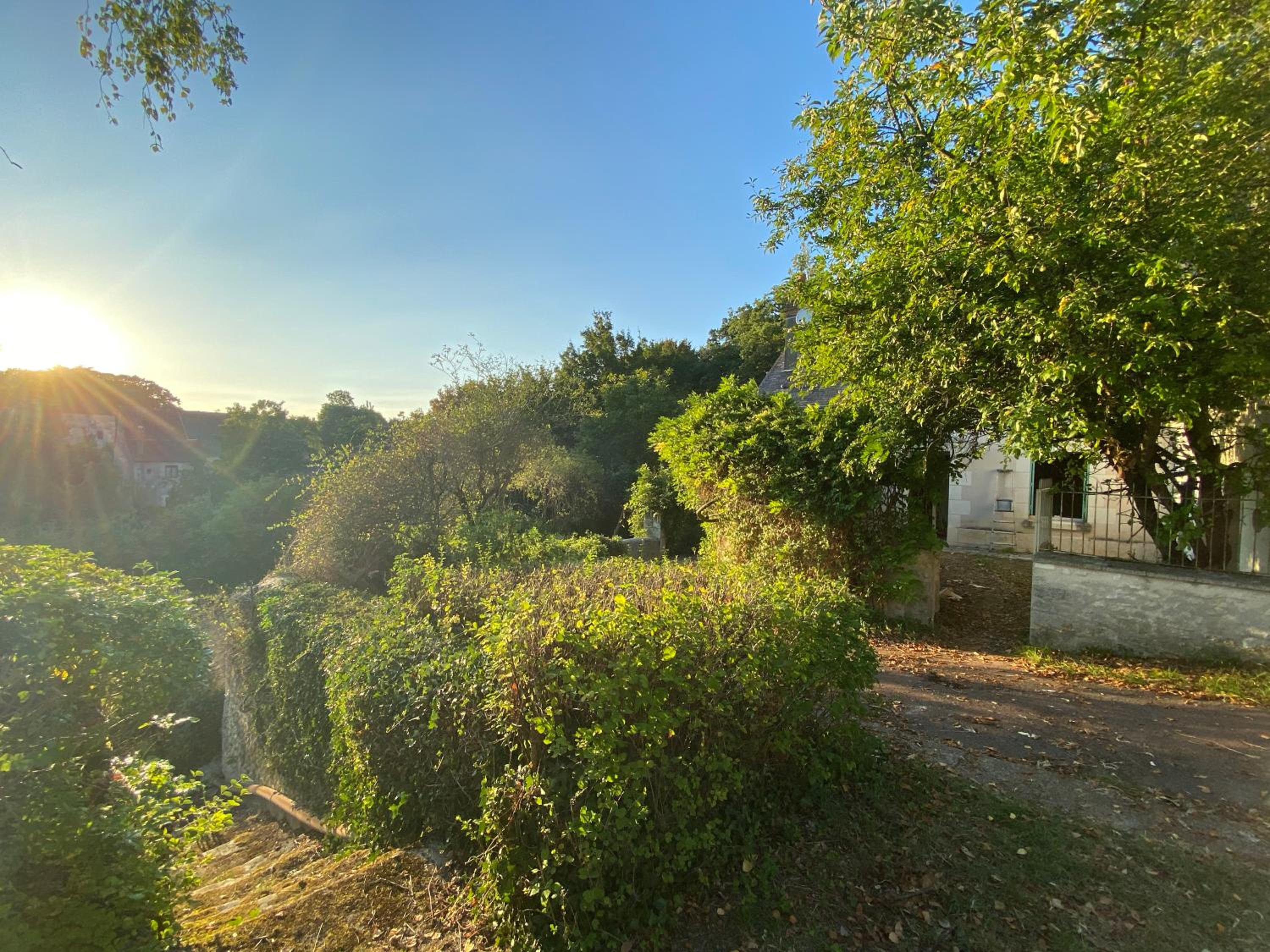 Clos des Mésanges