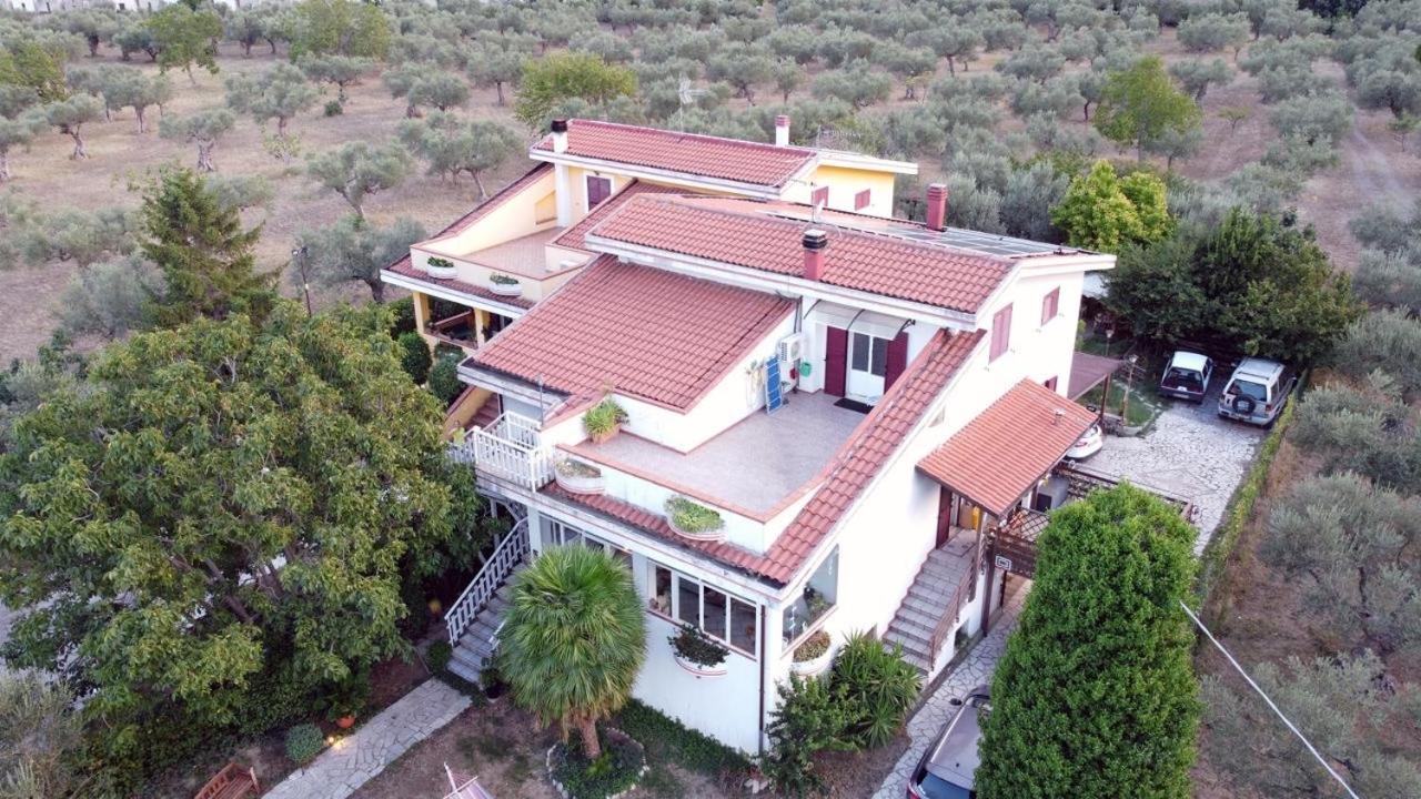 Villa Ulivi view 2